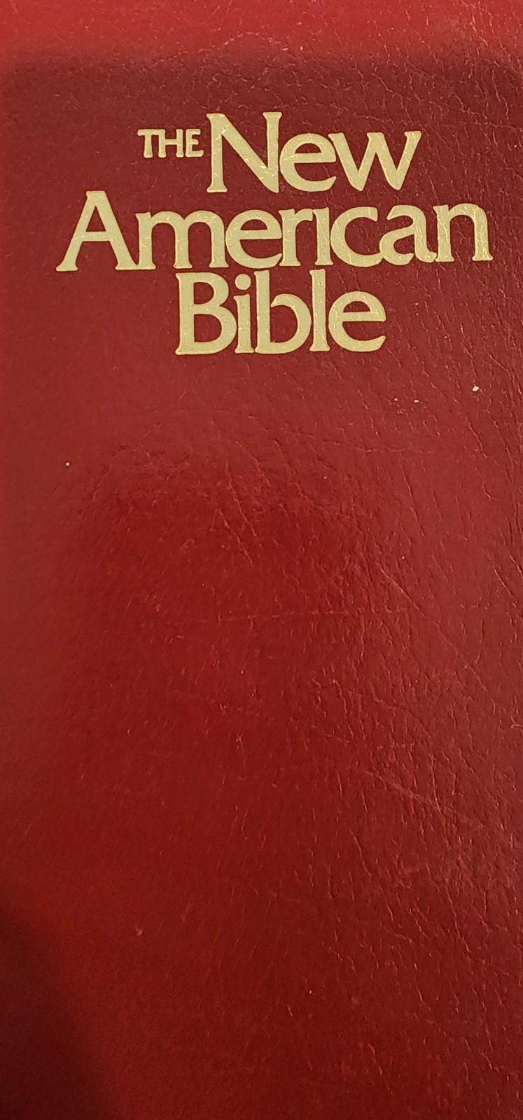 The New American Bible Catholic World Press Red Letter Edition Crimson Cover 91