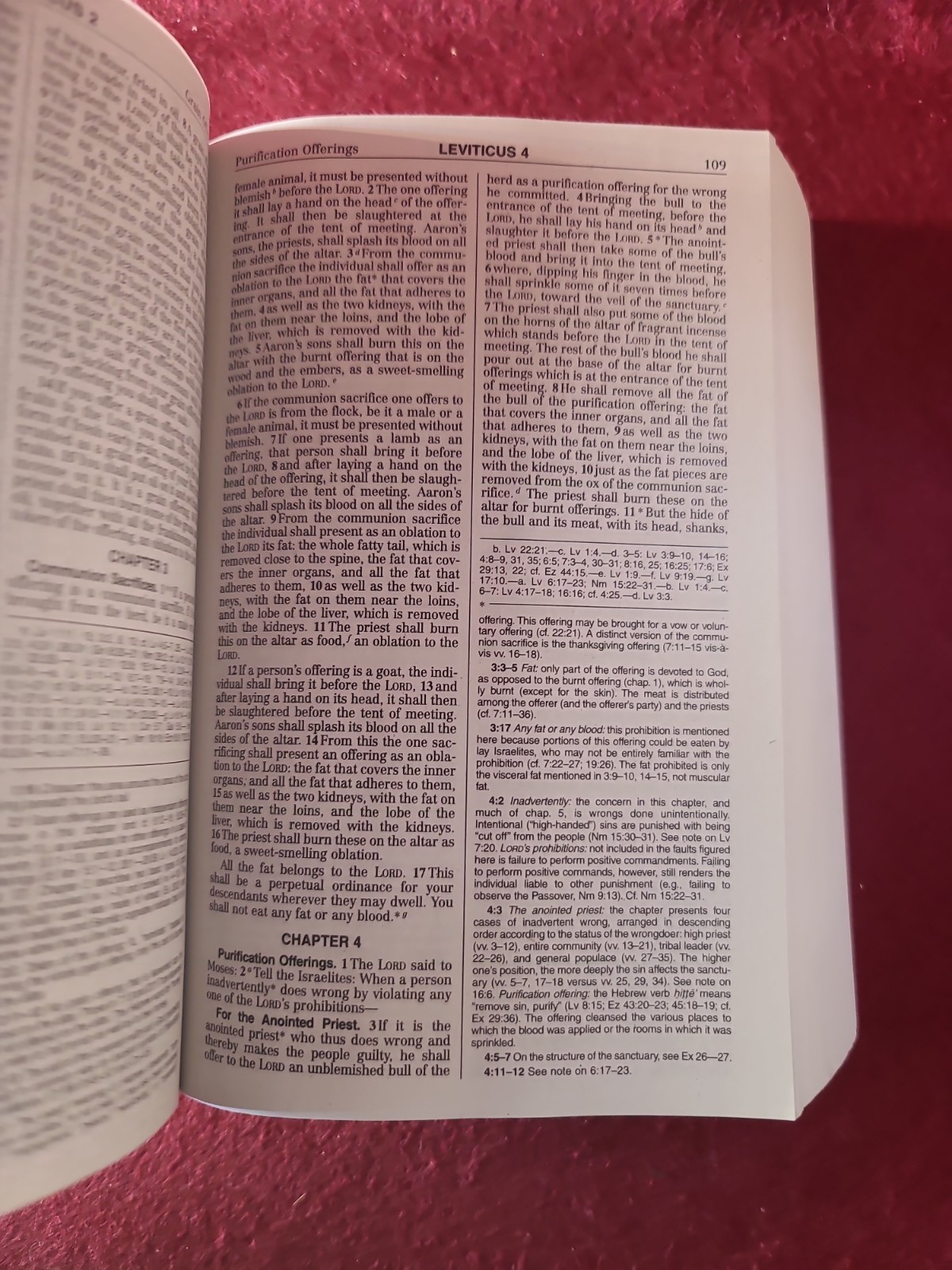 NEW AMERICAN BIBLE REVISED EDITION, PAPERBACK, 2011 BY WORLD CATHOLIC PRESS