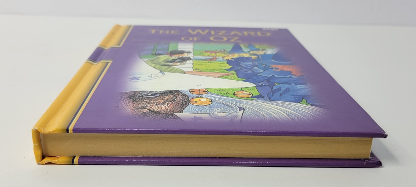 The Wizard of Oz – LF. Baum – Illustrated By Andrew Hopgood 2008 (Hardcover)