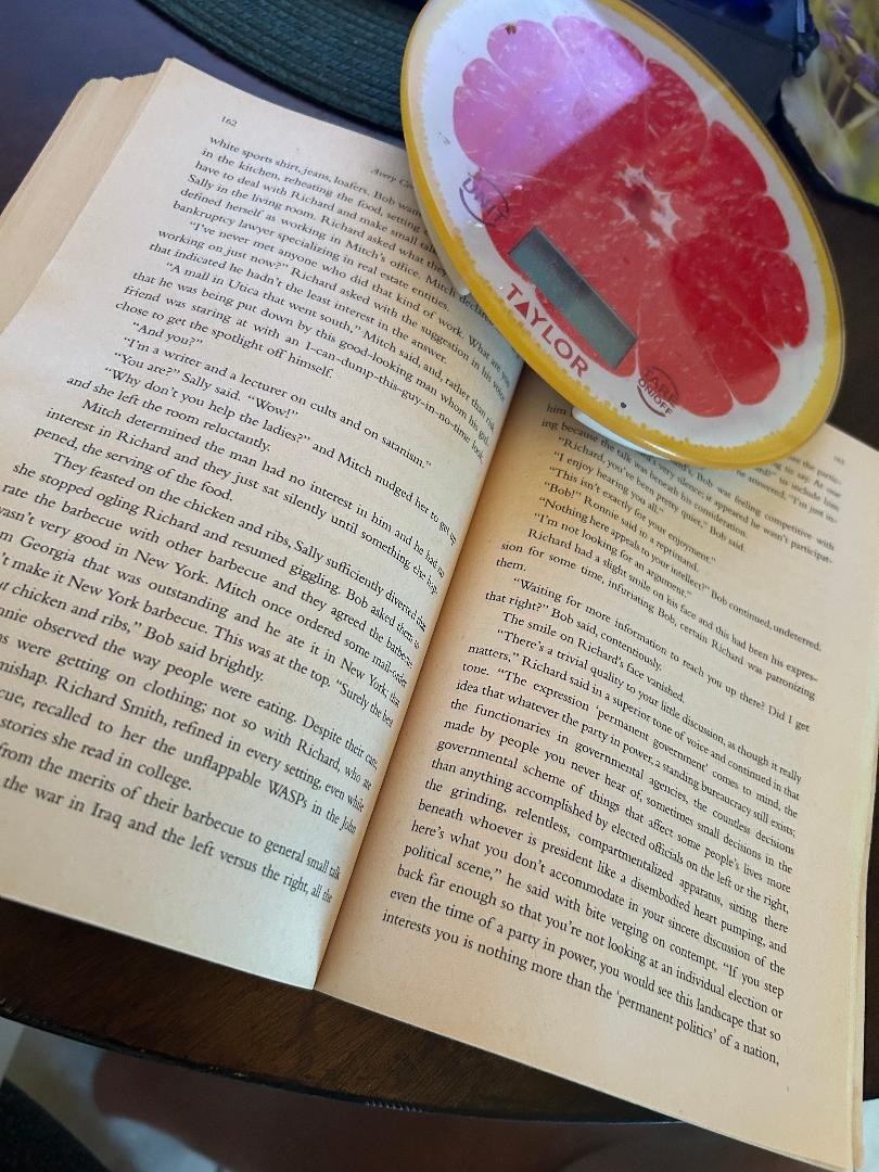 The Boyfriend From Hell by Avery Corman 8.25″ Paperback