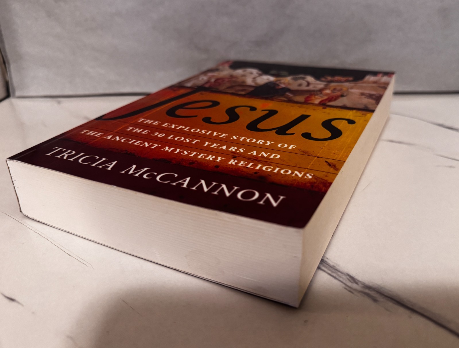 🦋📚Tricia McCannon Jesus (Paperback)📚🦋