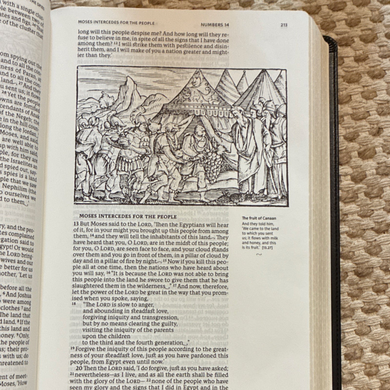 Catholic Bible Press NRSV Illustrated Catholic Bible Catholic Ed LeatherSoft