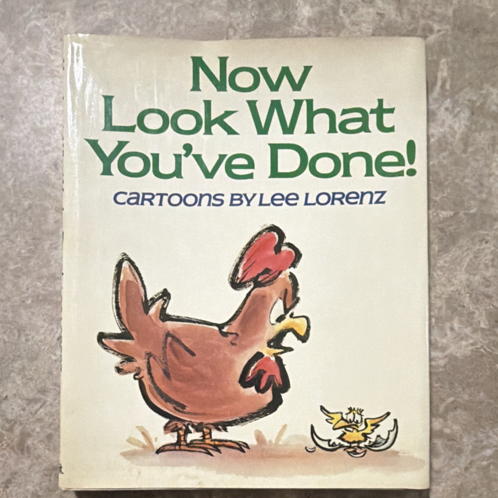 Pantheon Books Now Look What You’ve Done! Lee Lorenz Hardcover 1977 Illustrated