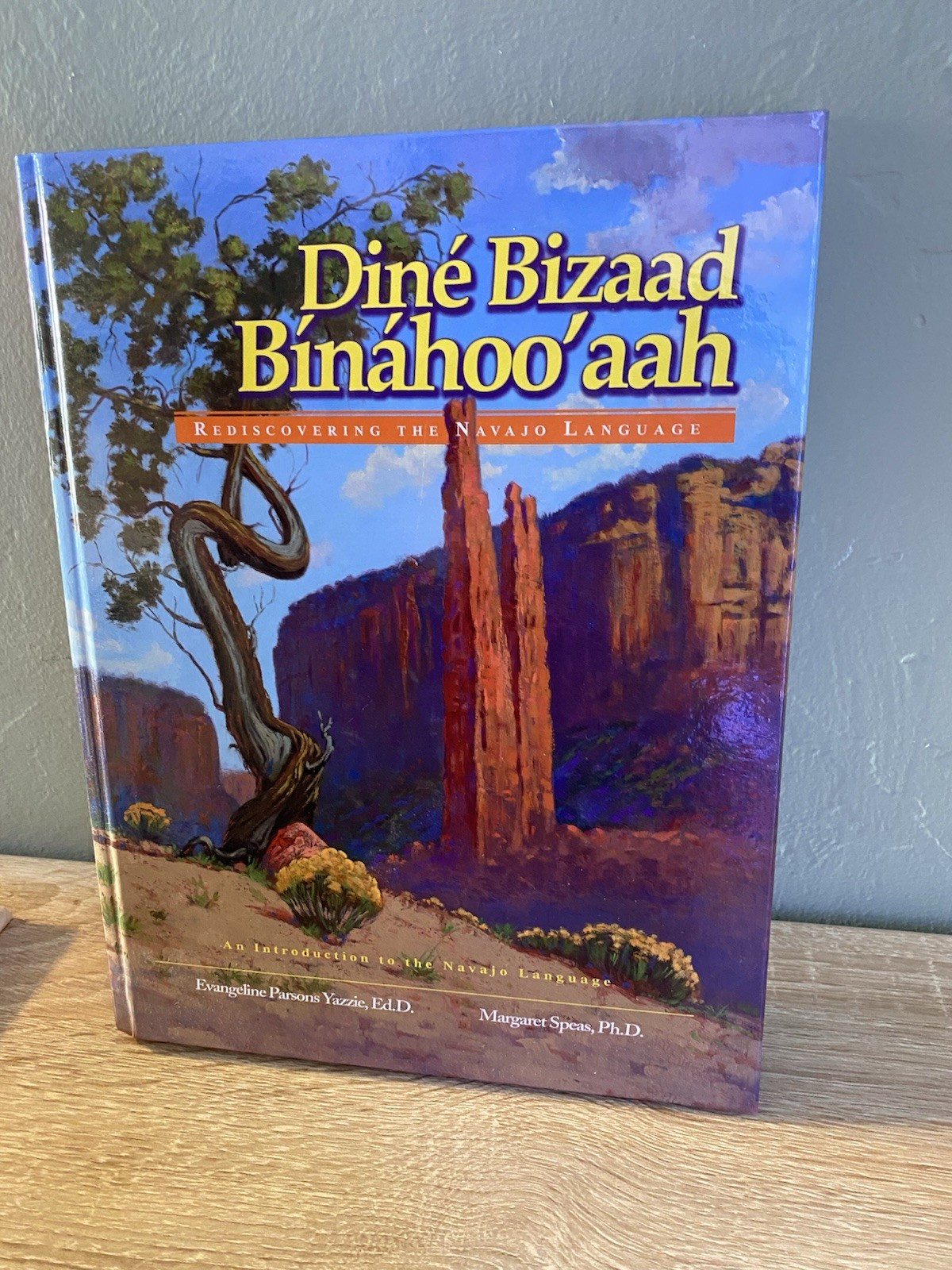 First Edition Dine Bizaad Binahoo’aah: Rediscovering the Navajo Language