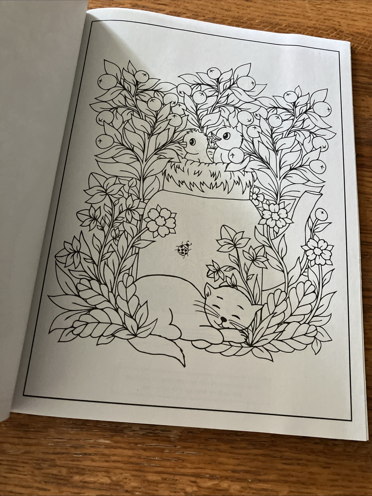 Cat Coloring Book 32 Playful Spring- Inspired Designs