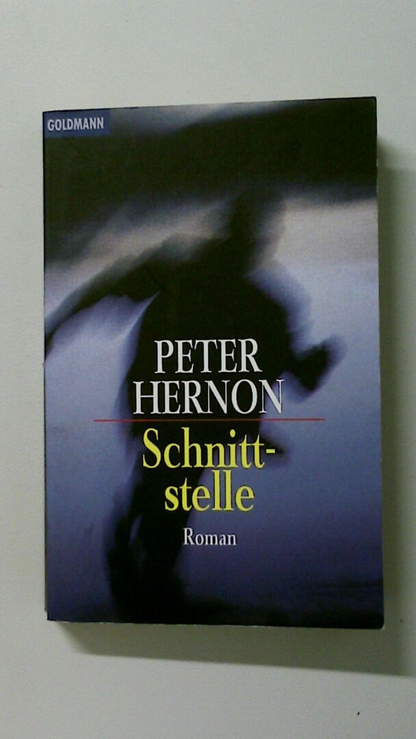 117859 Peter Hernon SCHNITTSTELLE Roman
