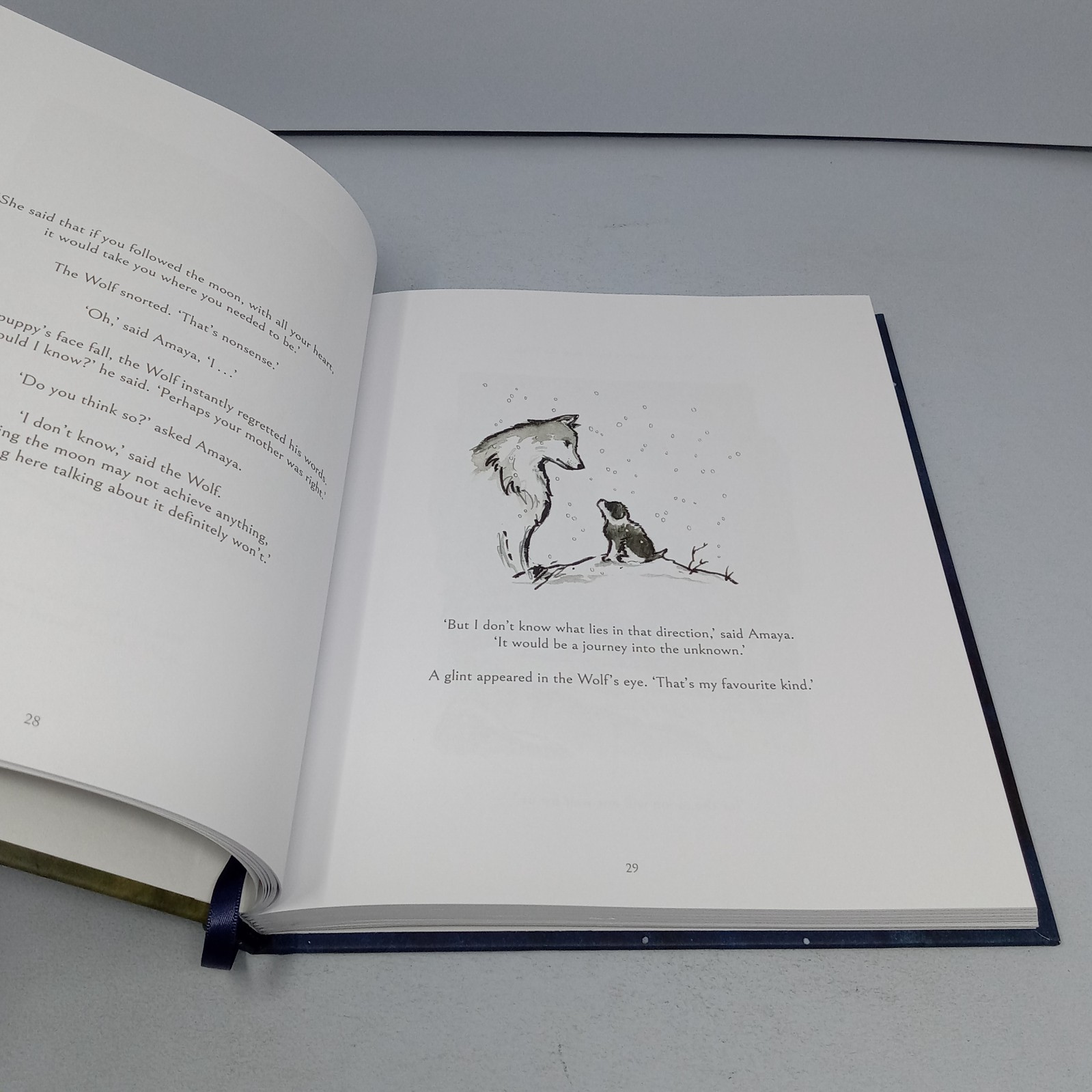 The Dog Who Followed the Moon: 2024 William Morrow Hardcover by James Norbury