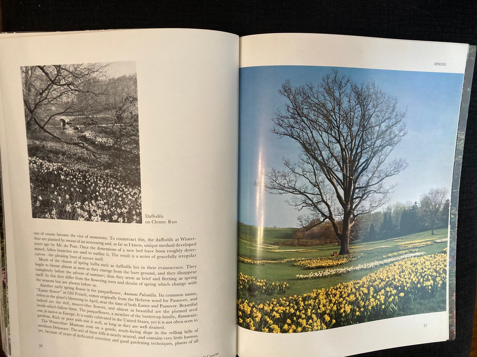 Winterthur in Bloom, Paperback 8 1/2″ x 11″ used good condition