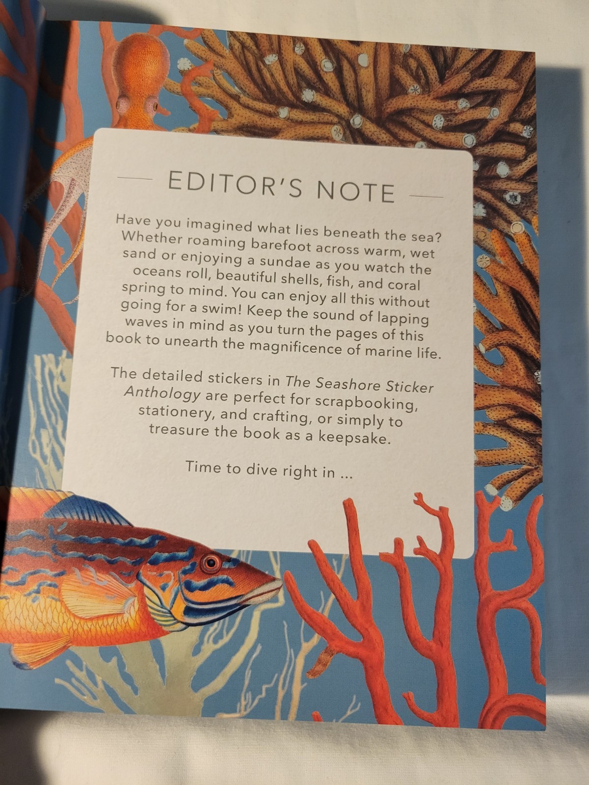 Seashore Sticker Anthology : with more than 1000 Vintage Drawings/Stickers