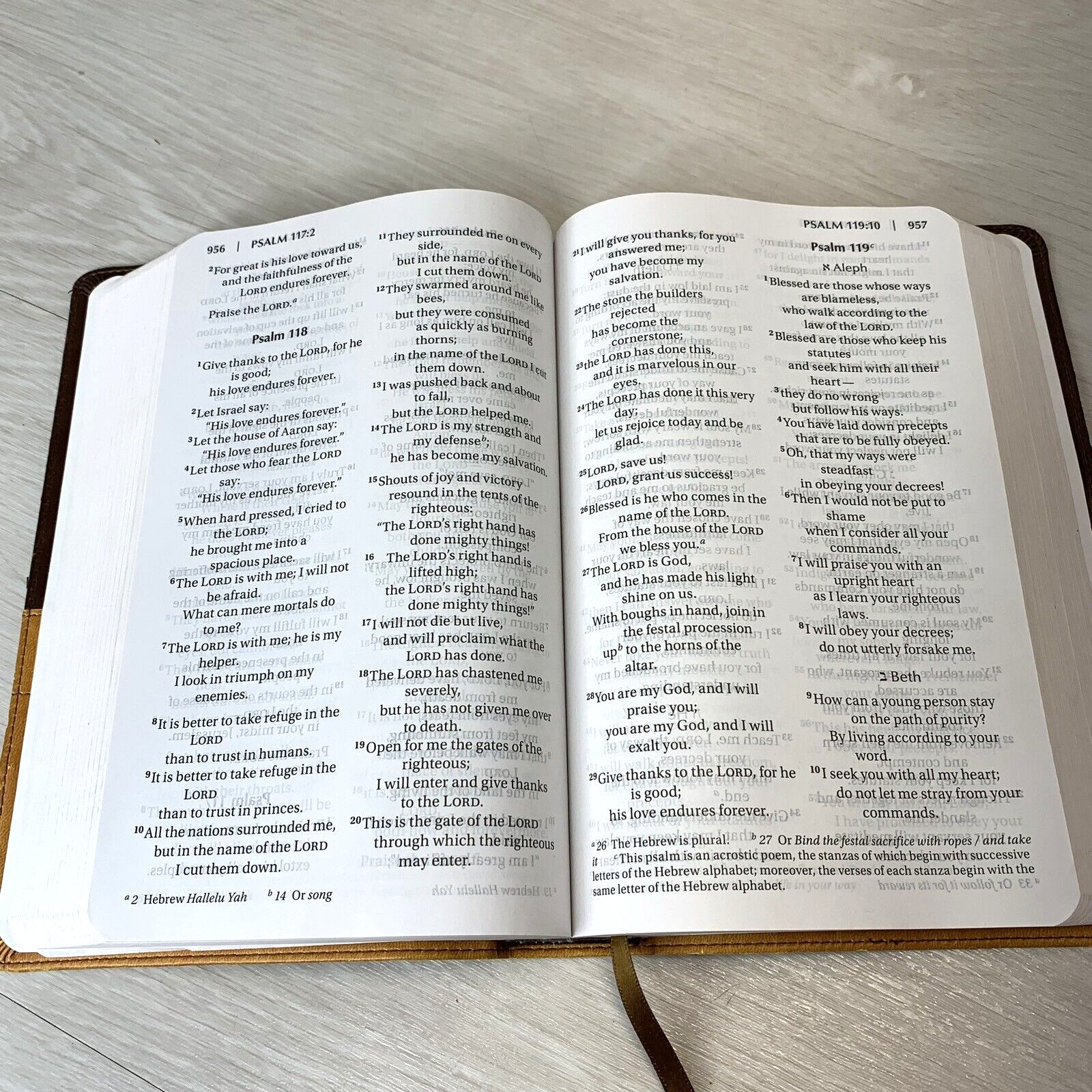 NIV Holy Bible Large Print Chocolate/Amber Duo Tone Brown Leather Cover