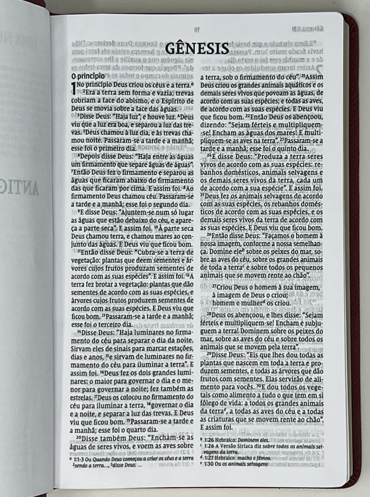 SPANISH BIBLE / RELIGION: Biblia Sagrada: NVI – 2011 SC Pub. by Thomas Nelson