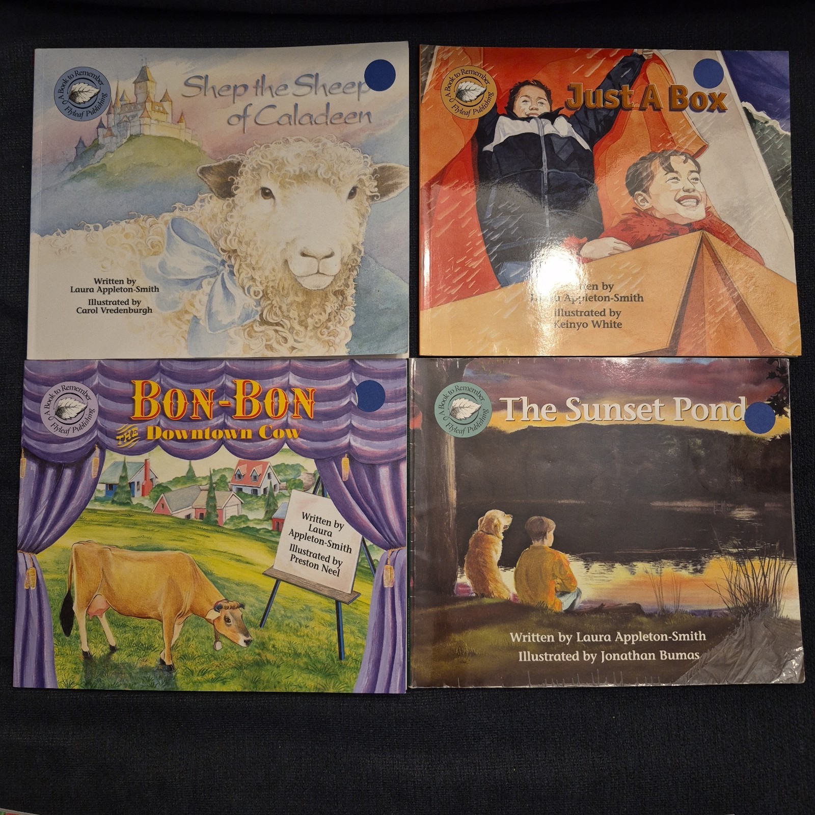LOT OF 20 A BOOK TO REMEMBER FLYLEAF PUBLISHING DECODABLE READING HOMESCHOOL
