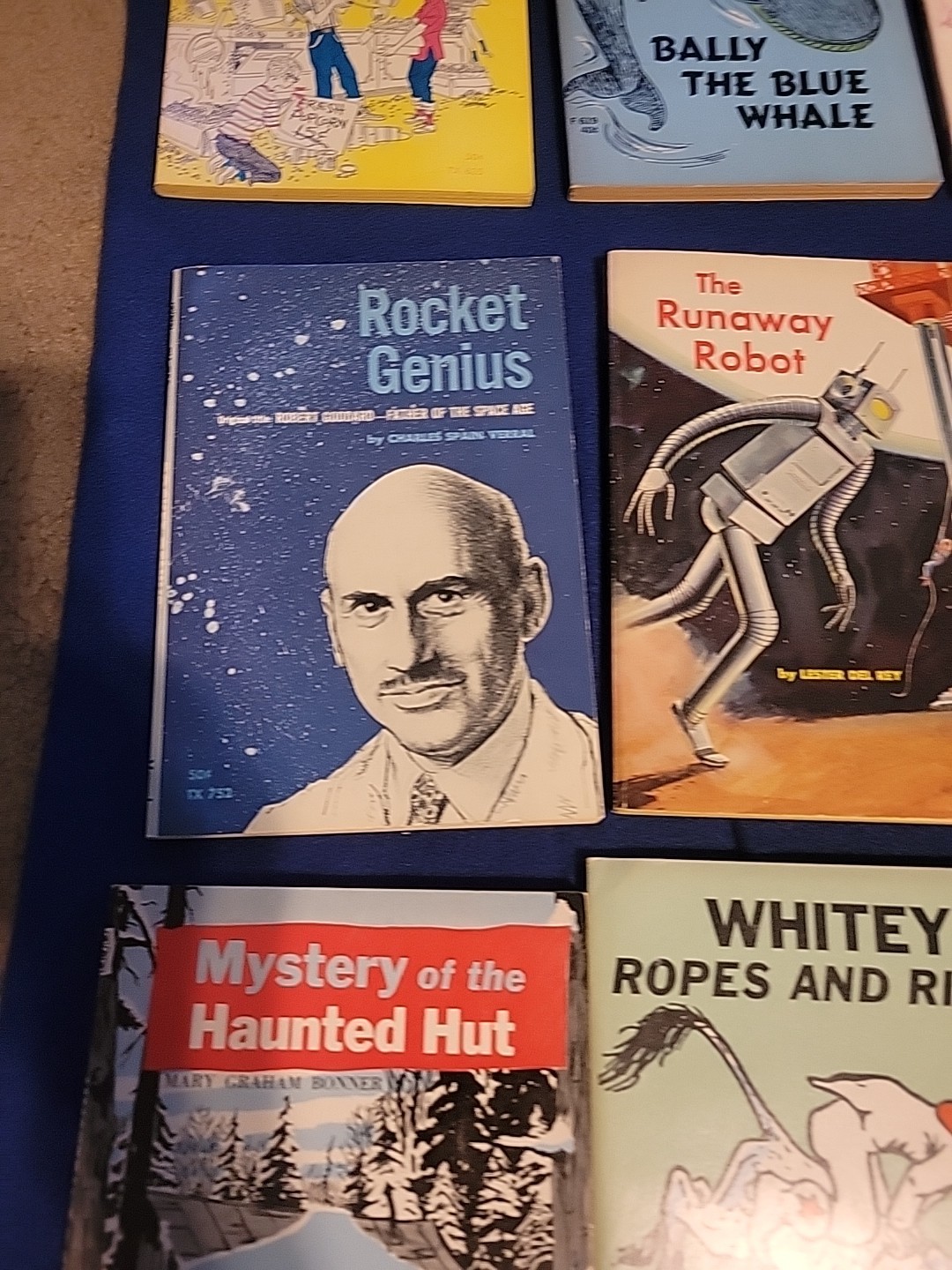 Vintage Young Readers Press ,scholastic And Others Pb Books