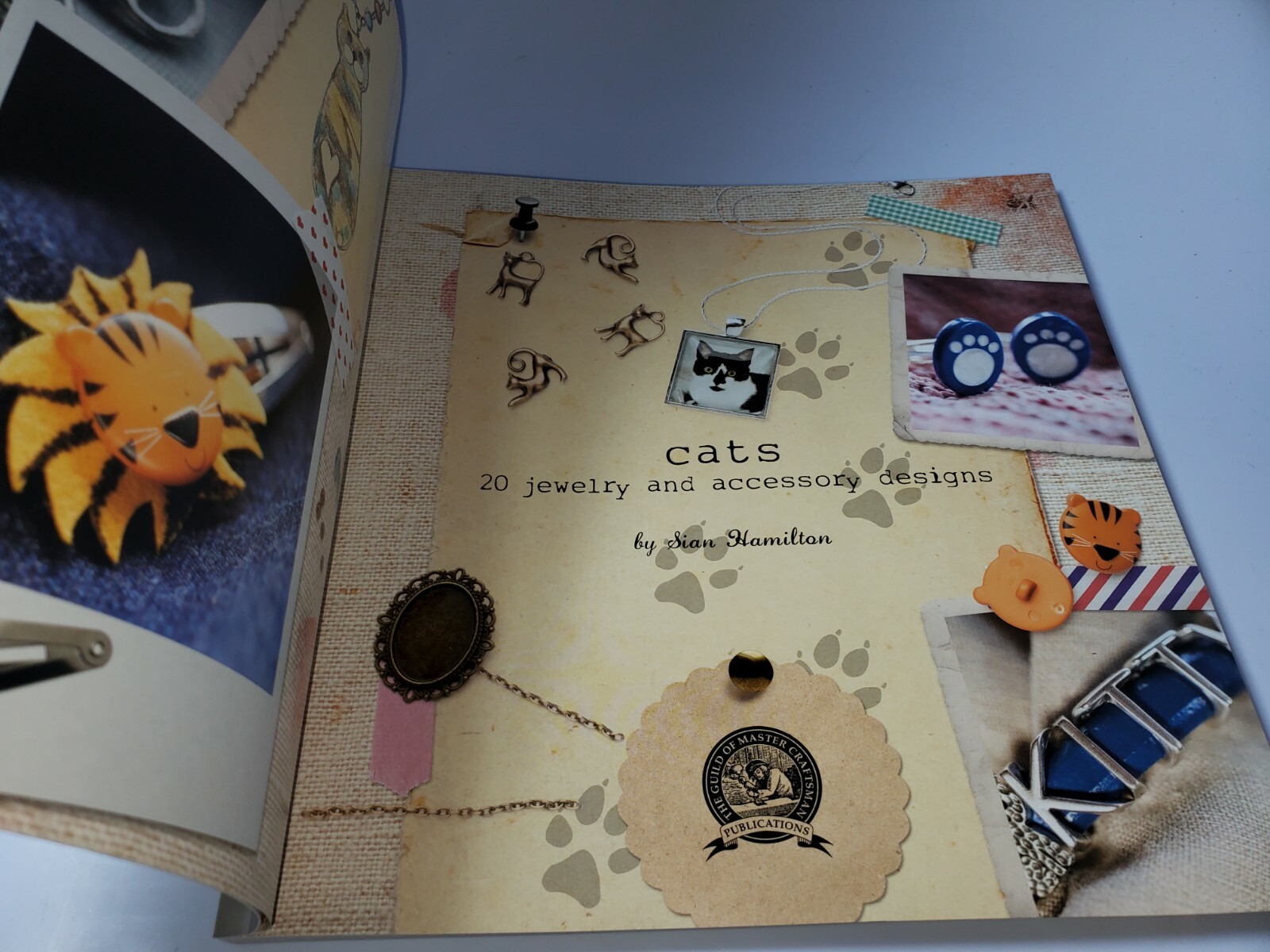 Cats: 20 Jewelry and Accessory Designs (Paperback or Softback)!