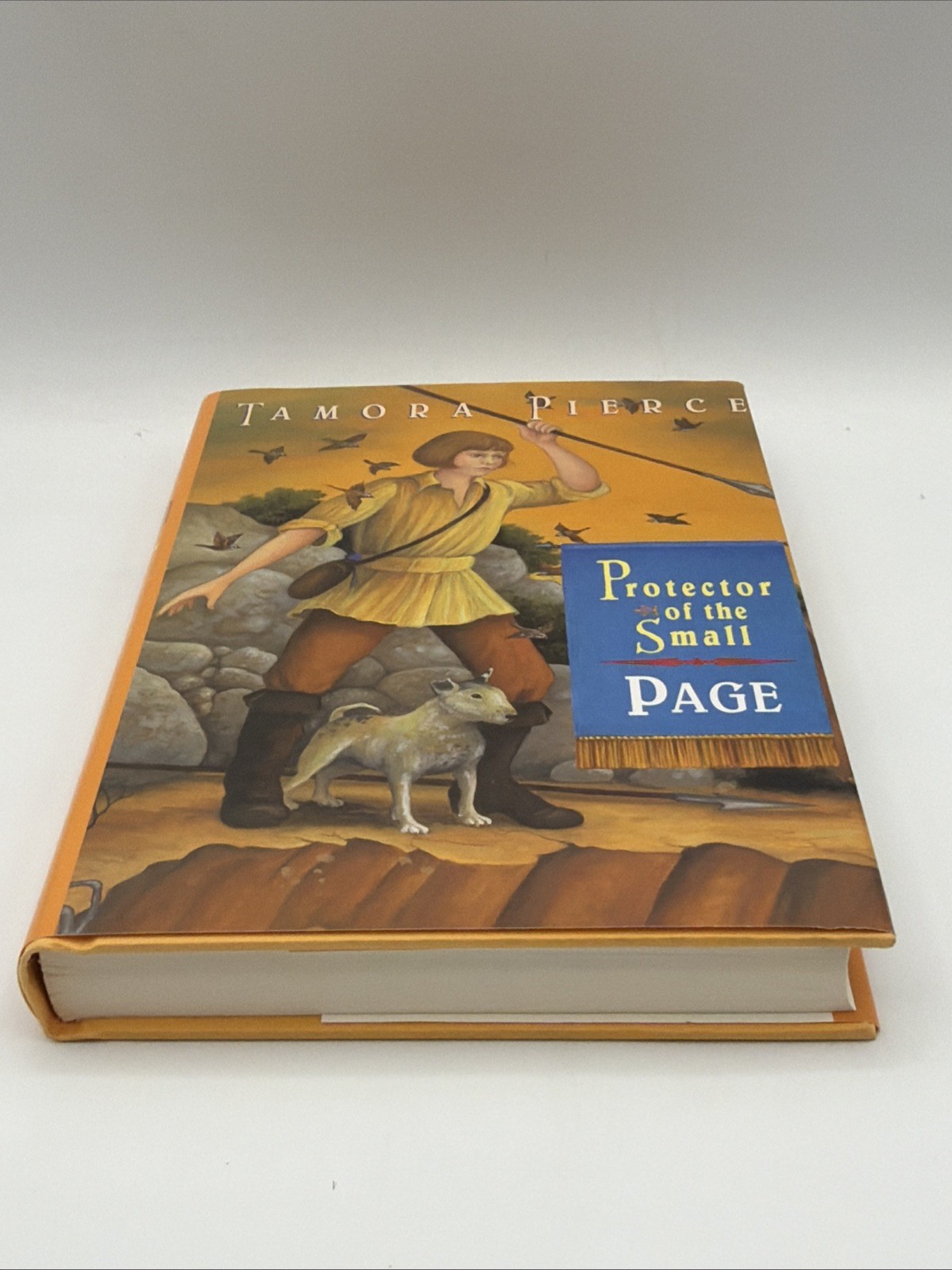 Protector of the Small Page Book 2 Hardcover By Tamora Pierce Random House Books