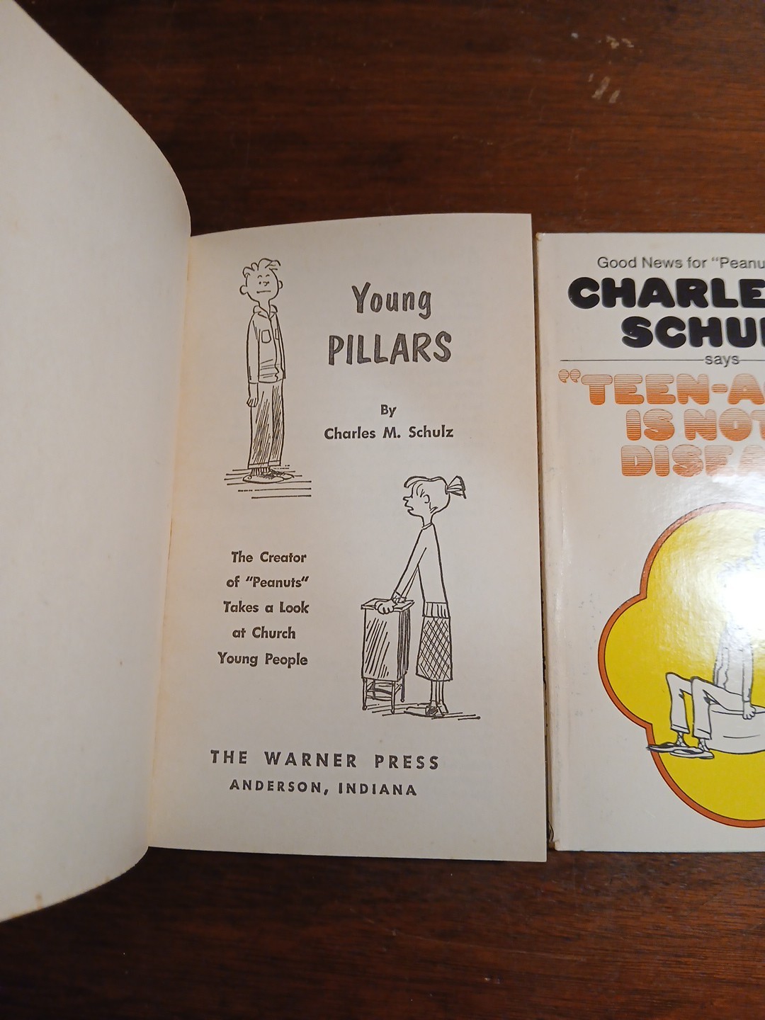 Young Pillars & Teenagers Is Not A Disease By Charles Schulz Vtg 1970 Paperbacks