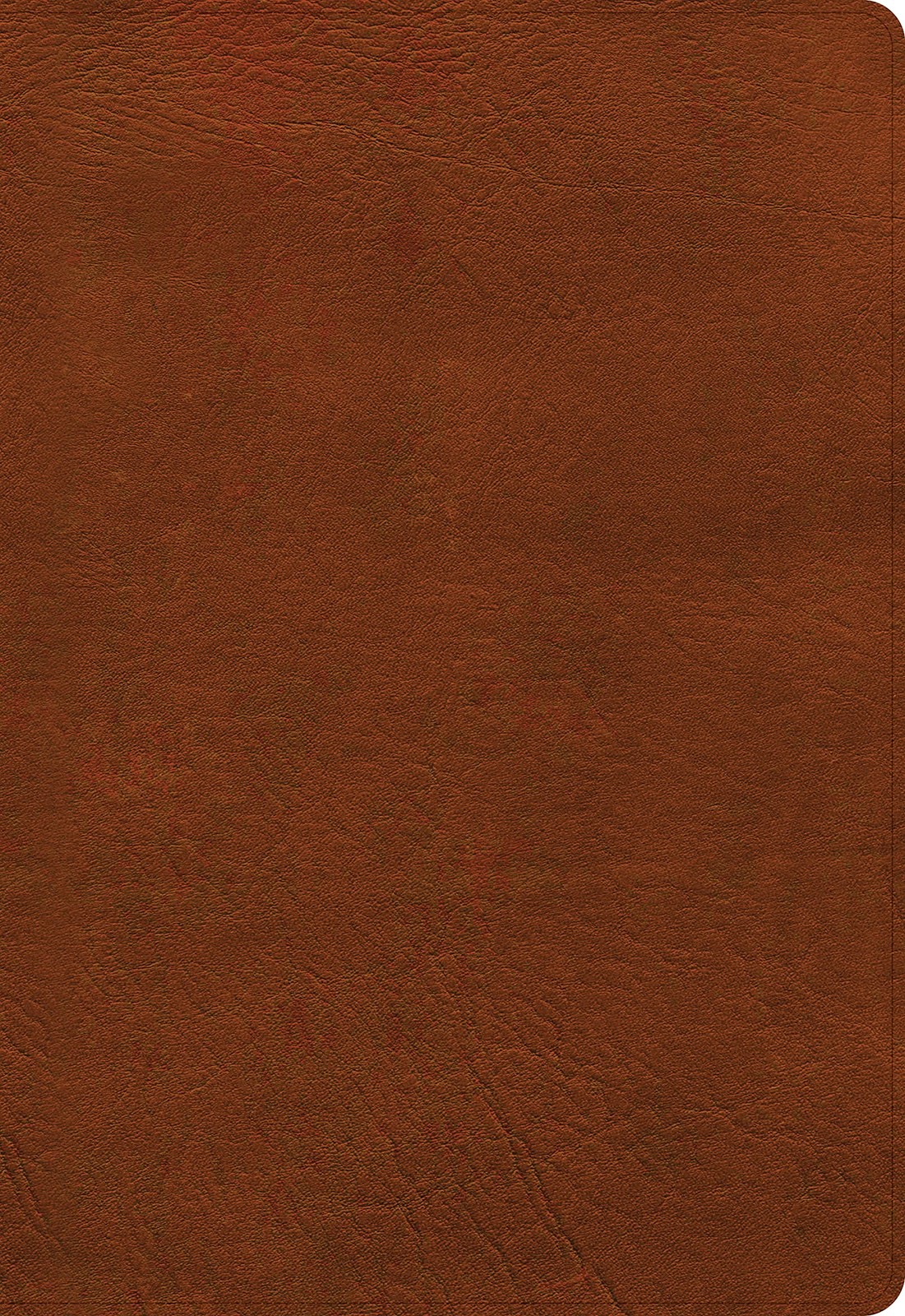 Reference Bible Super Giant Print Burnt Sienna LeatherTouch Indexed
