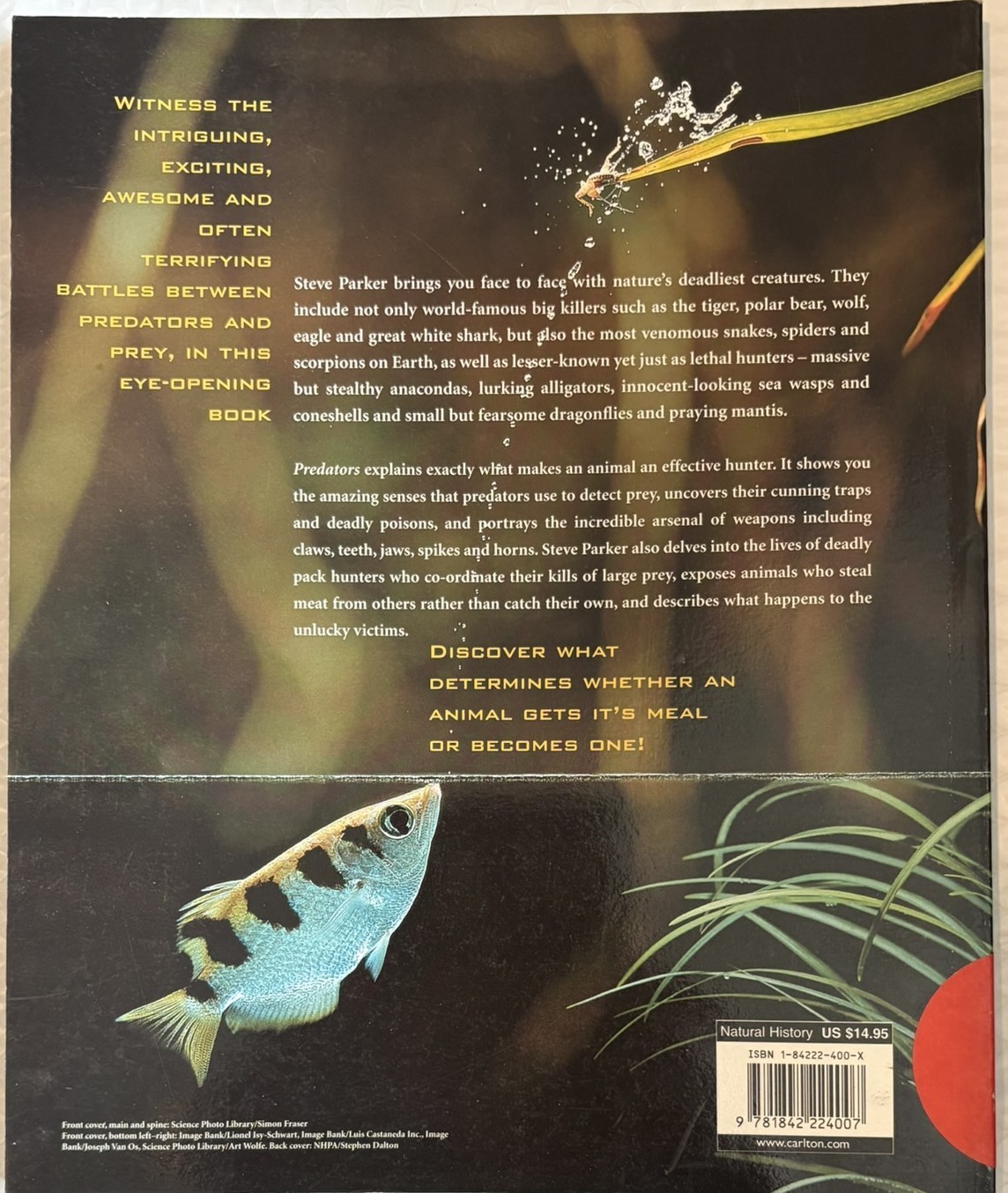 Predators Steve Parker Natural History Museum London Book
