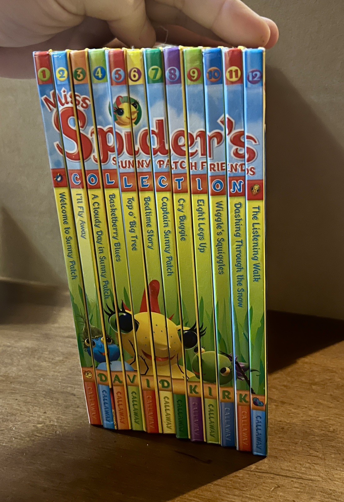 Miss Spiders Sunny Patch Friends Set of 12 Books Great Condition