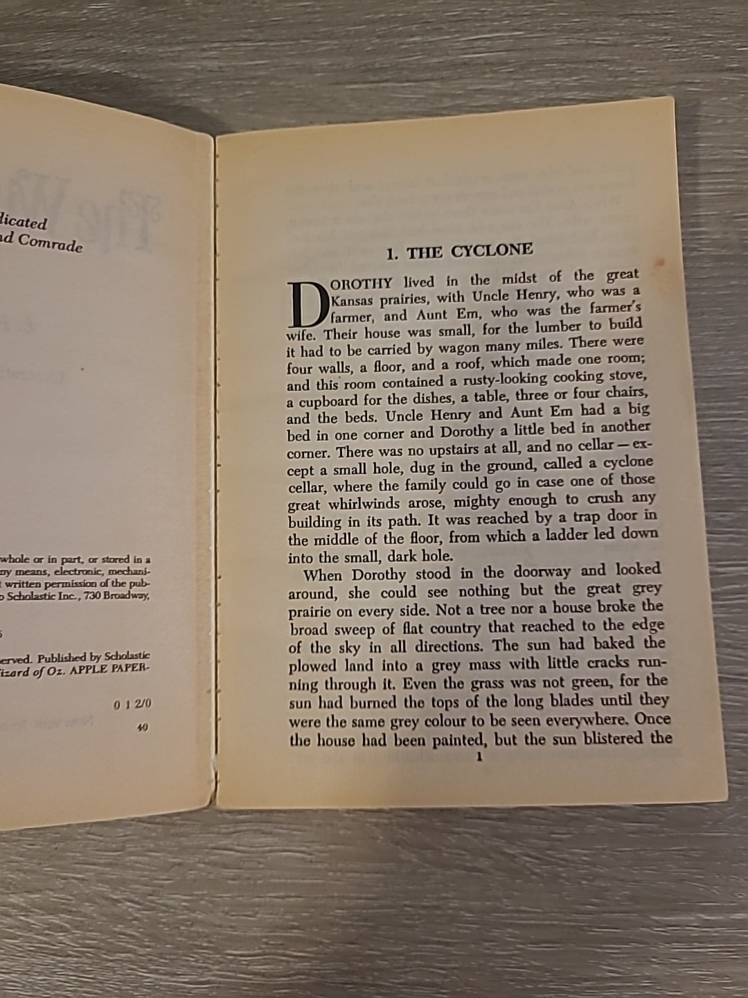 L. Frank Baum Lot – Ozma Of Oz And The Land Of Oz Reilly And Lee Co + Apple Book