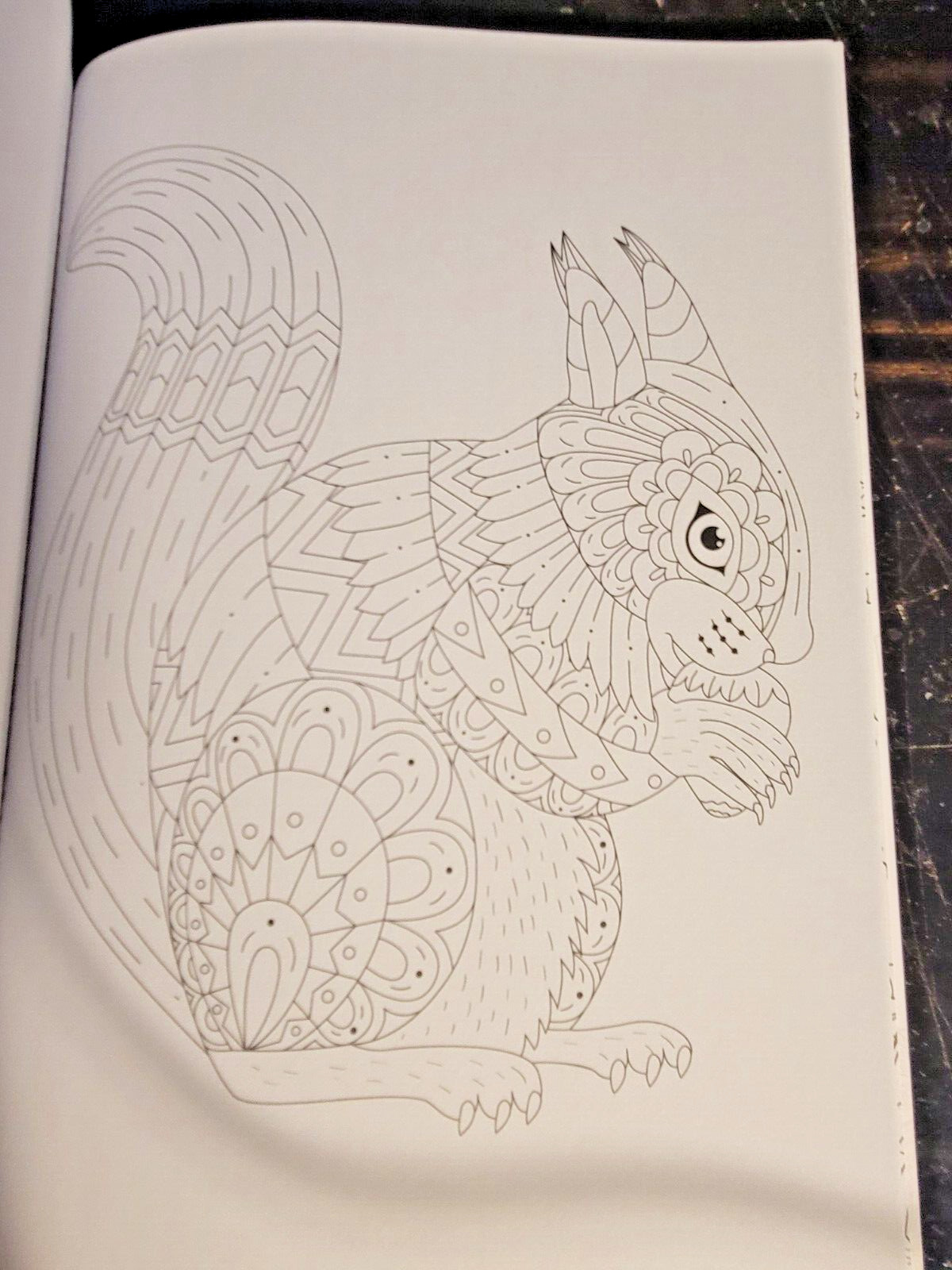 COLORS OF THE WILD! Vol. 18 Adult Coloring Book With 47 Prints Ready To Frame!