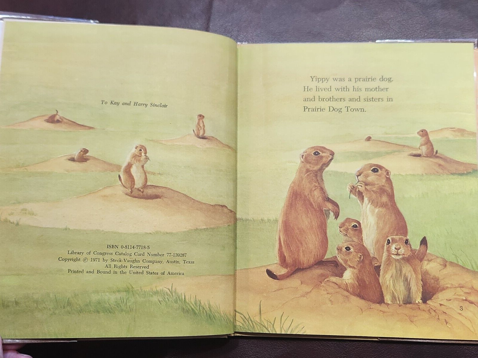 YIPPY ~ SIGNED by Elizabeth Rice 1971 hcdj FIRST EDTION ~ Scarce Collectible