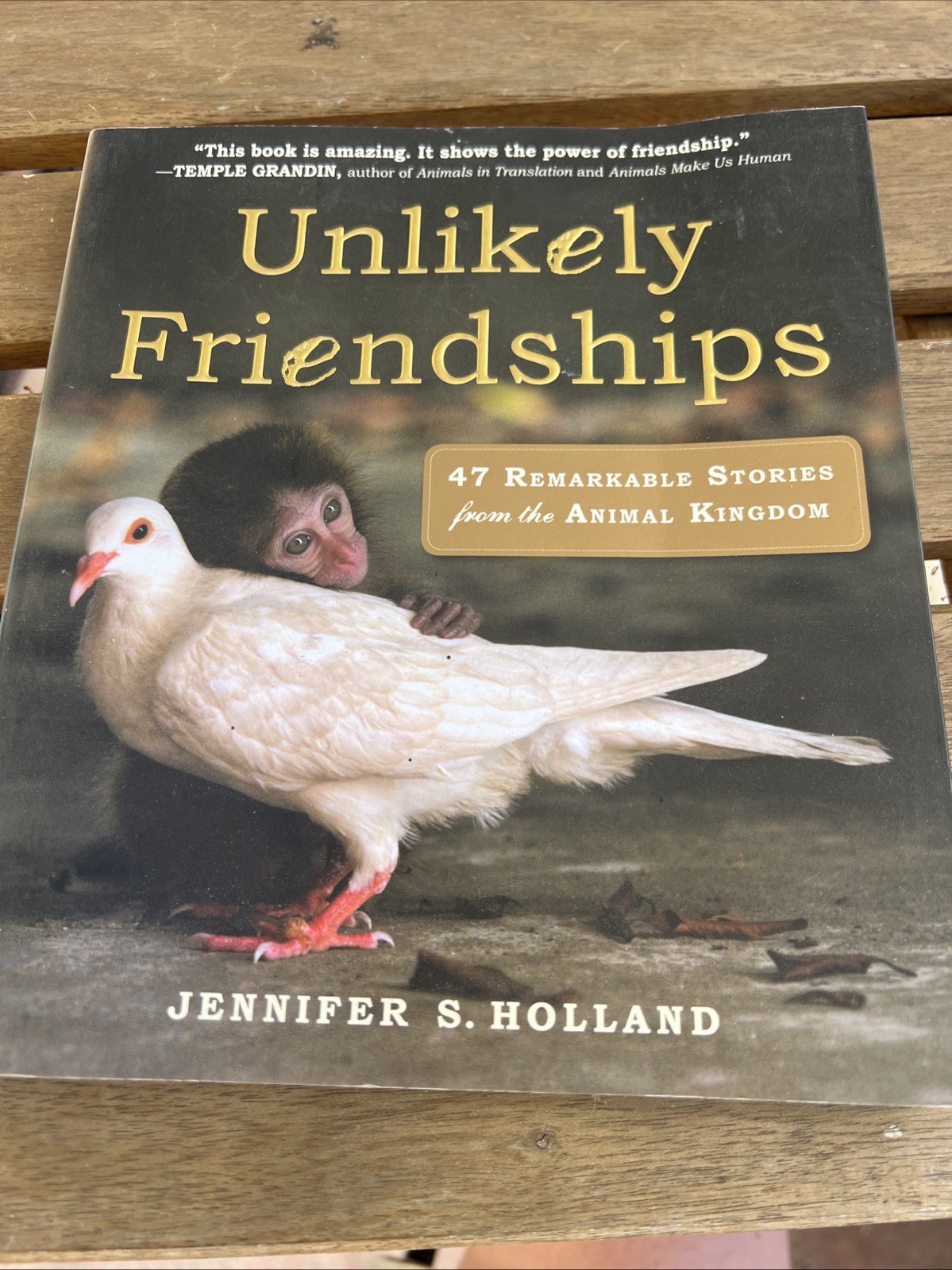 Unlikely Friendships Jennifer S. Holland Paperback Workman Animals Nature 2011
