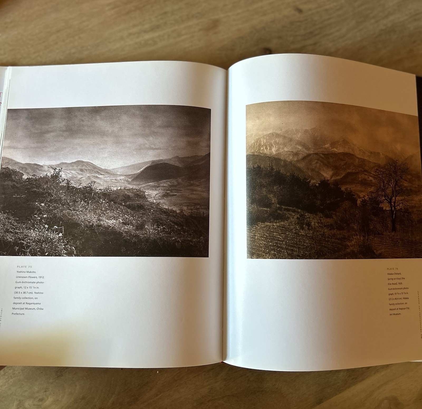 History of Japanese Photography by Dana Friis-Hansen, Kaneko Ryuichi, Anne Tucke