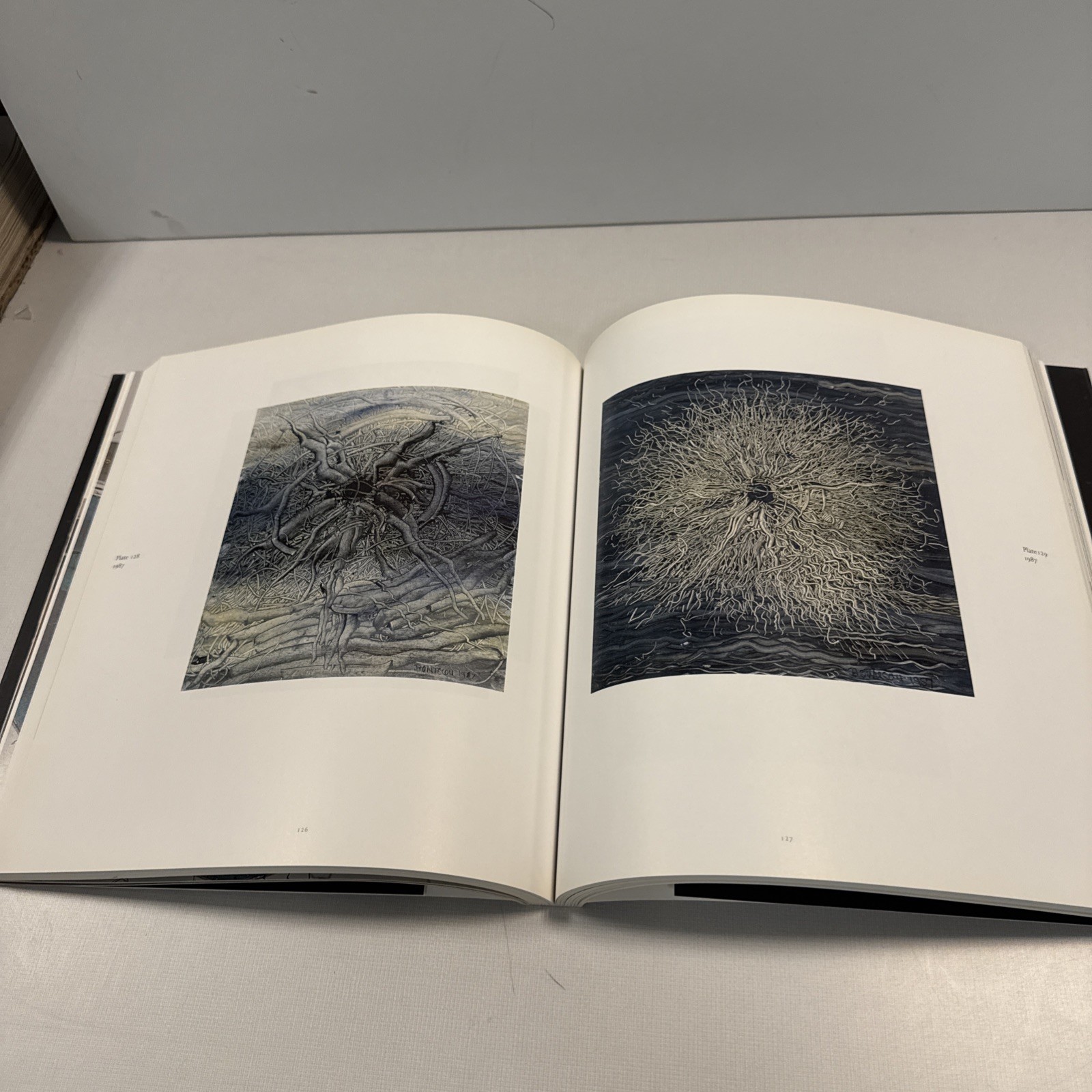 Lee Bontecou : A Retrospective [an exhibition catalogue] 2003 Softcover