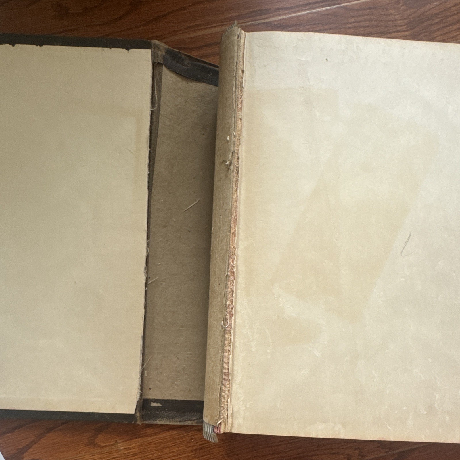 Vintage Illustrated Holy Bible – Ornate Victorian Cover