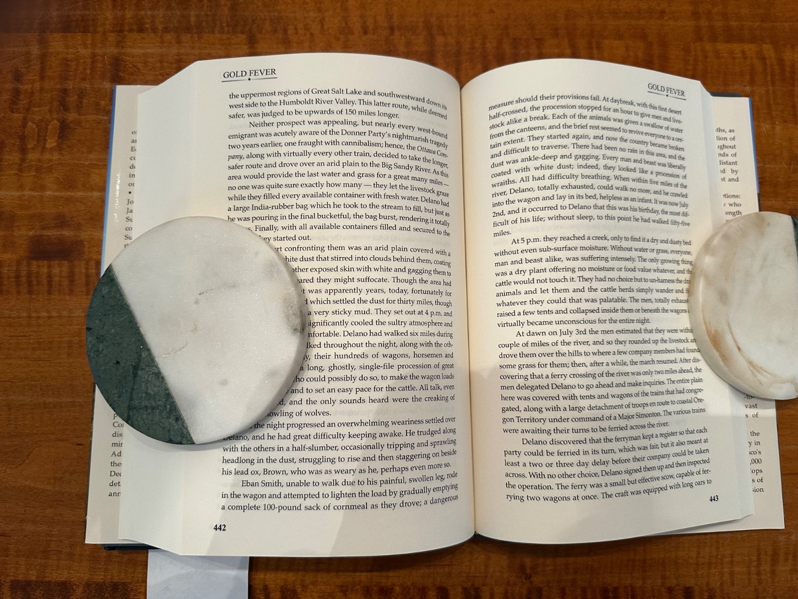 Gold Fever — The Beginning of the California Gold Rush — First Edition