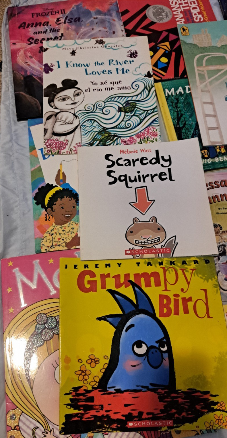Lot of 15 – Empowerment, Emotions, Minorities Awarenes Books for Children, Kids