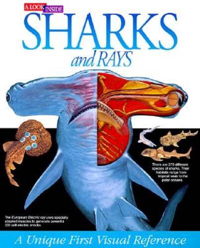 Sharks and Rays: A Unique First Visual Reference – Hardcover – GOOD