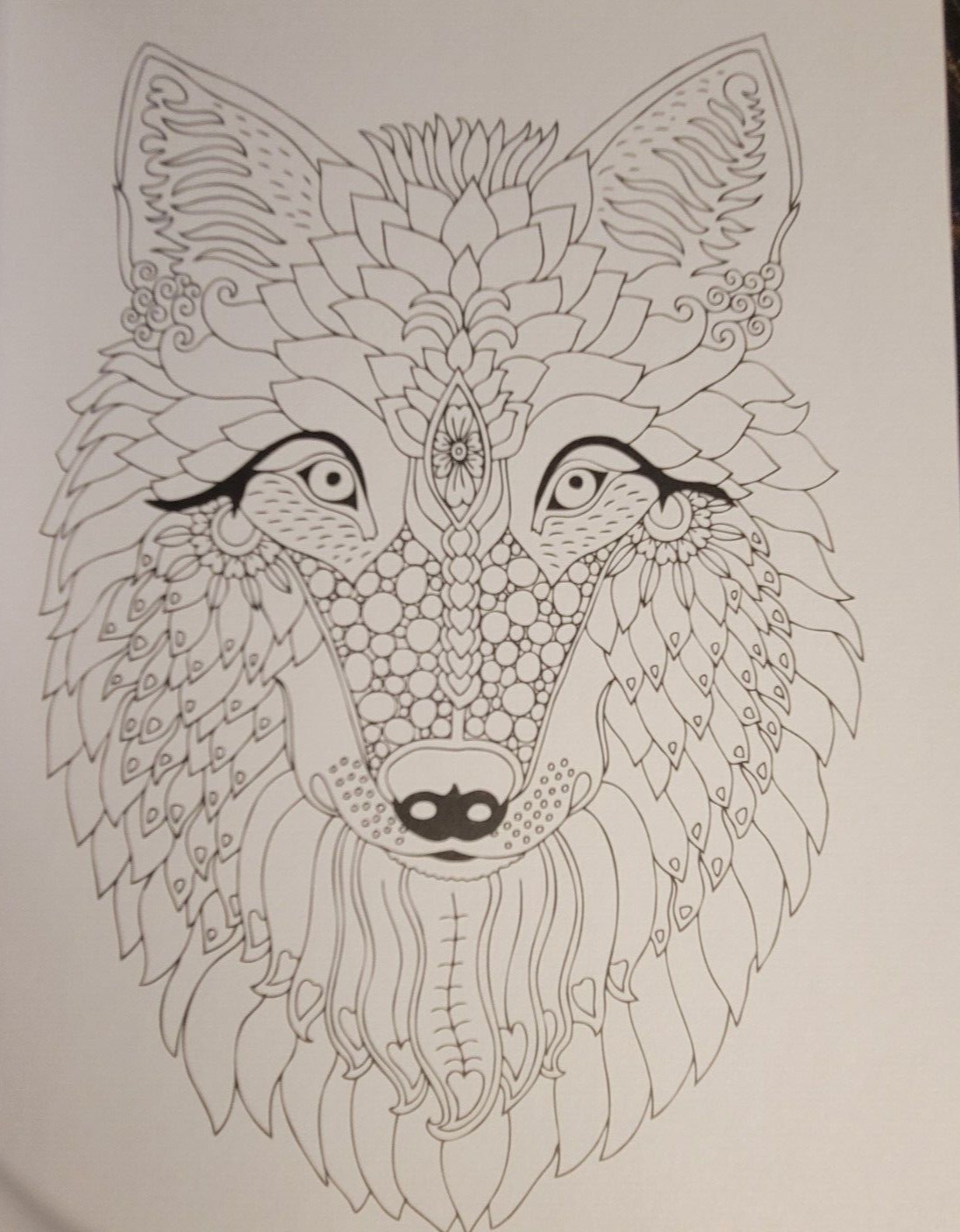 COLORS OF THE WILD Vol. 21 Adult Coloring Book With 47 Prints Ready To Frame!