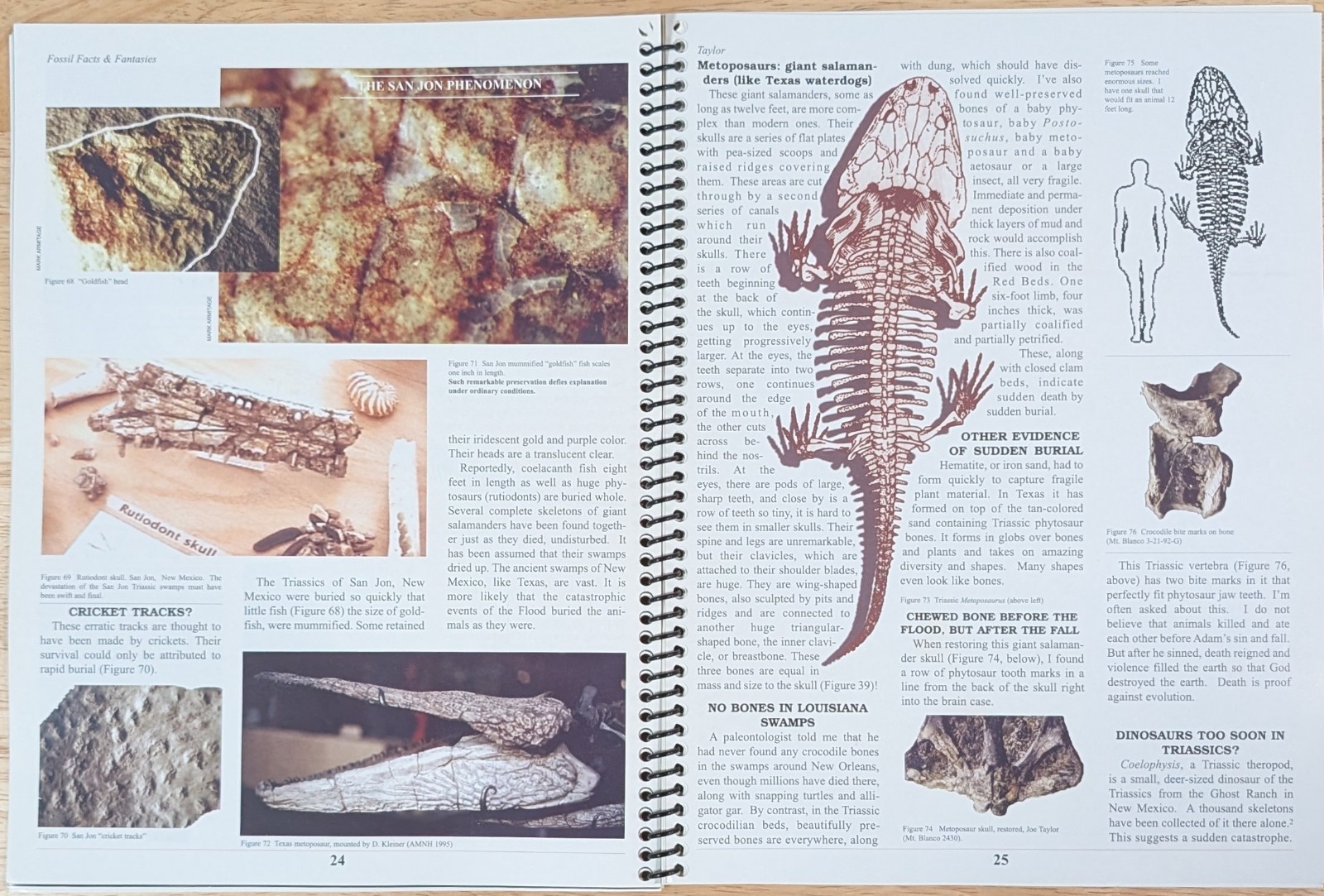 FOSSIL FACTS & FANTASIES By Joe Taylor Soft Cover Spiral Bound RARE! VG+ Cond.