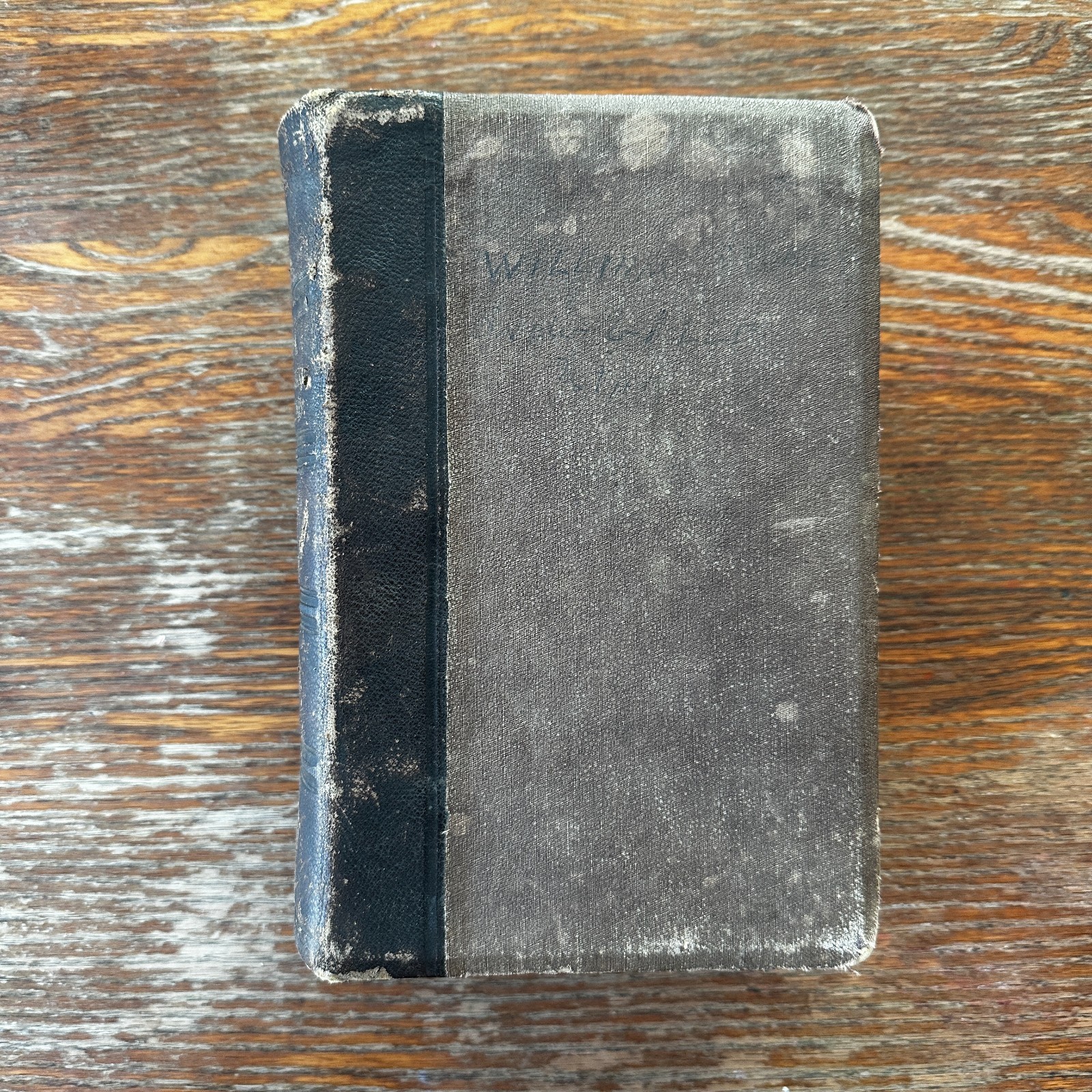 Text Book of Modern Medicine and Surgery On Homeopathic Principles HC 1876