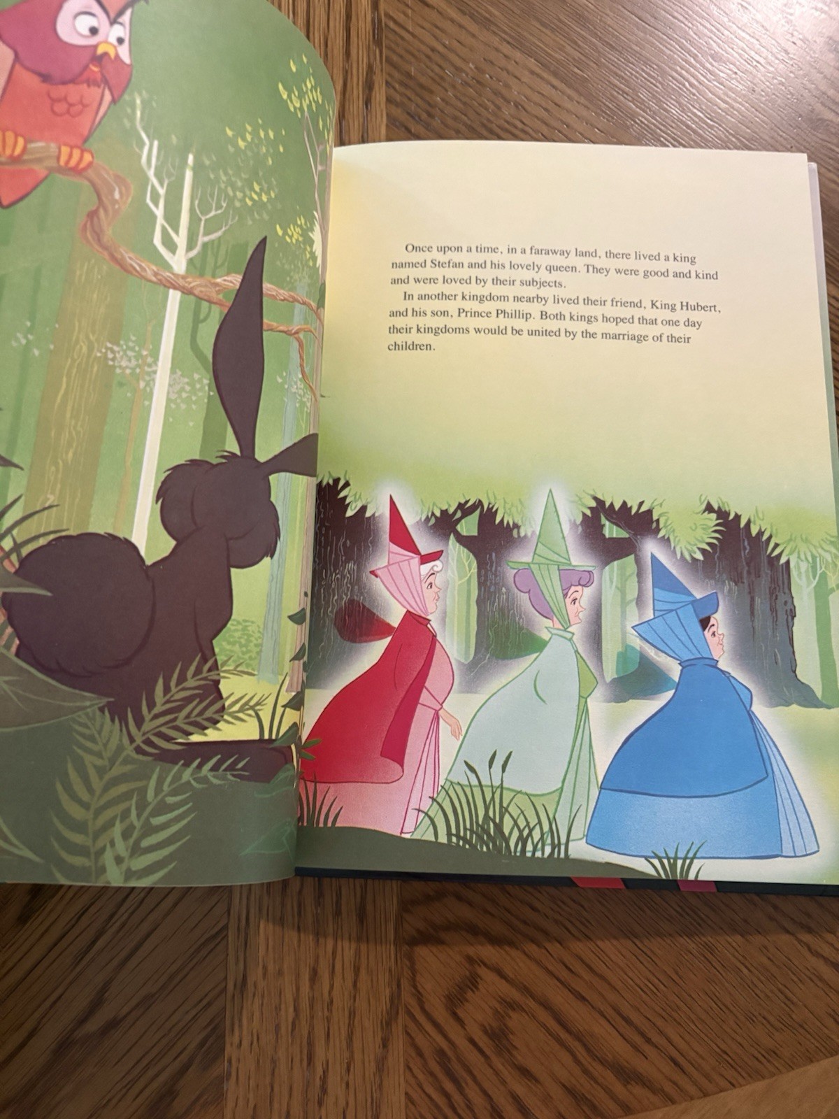 NEW DISNEY CLASSIC SERIES, SLEEPING BEAUTY TWIN BOOKS 1986 Large Hardcover