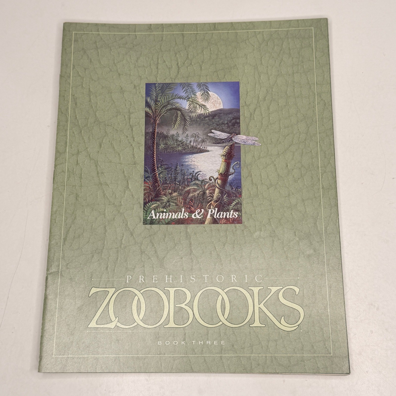 Prehistoric ZOOBOOKS 1989 First Edition Family Guide Case Book Set 1-10 Poster