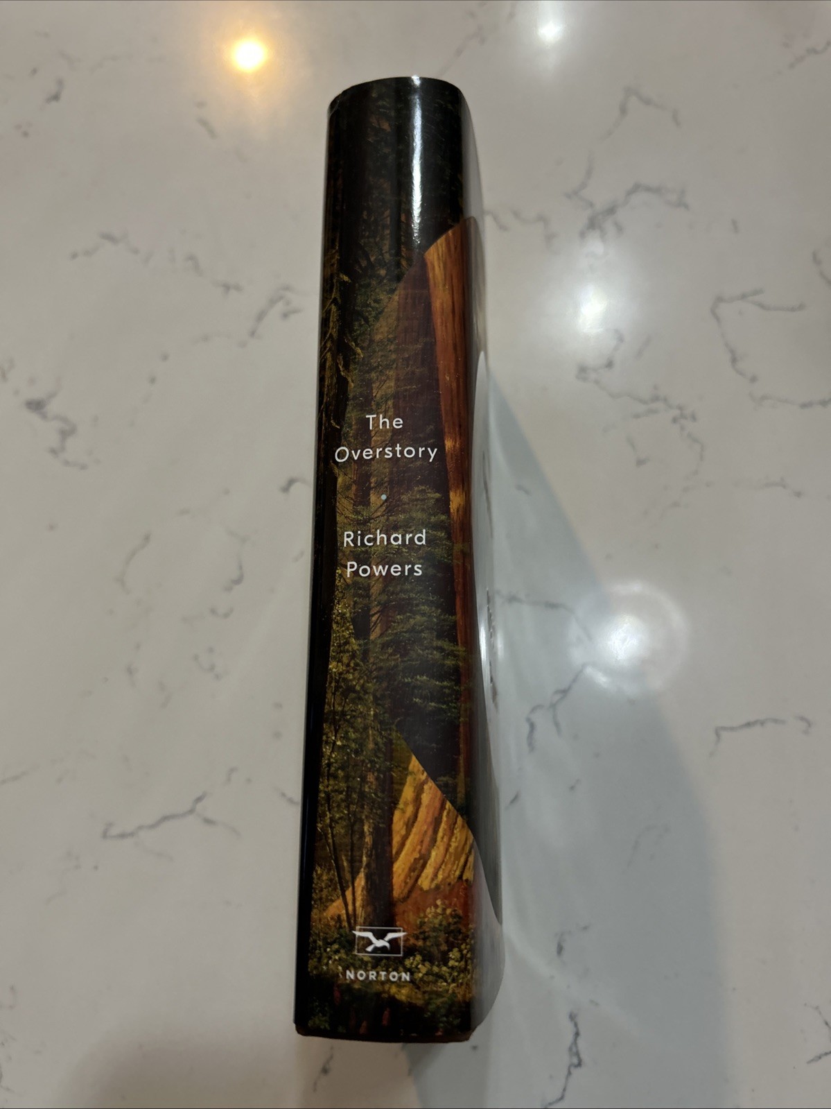Overstory : A Novel by Richard Powers (2018, Hardcover)