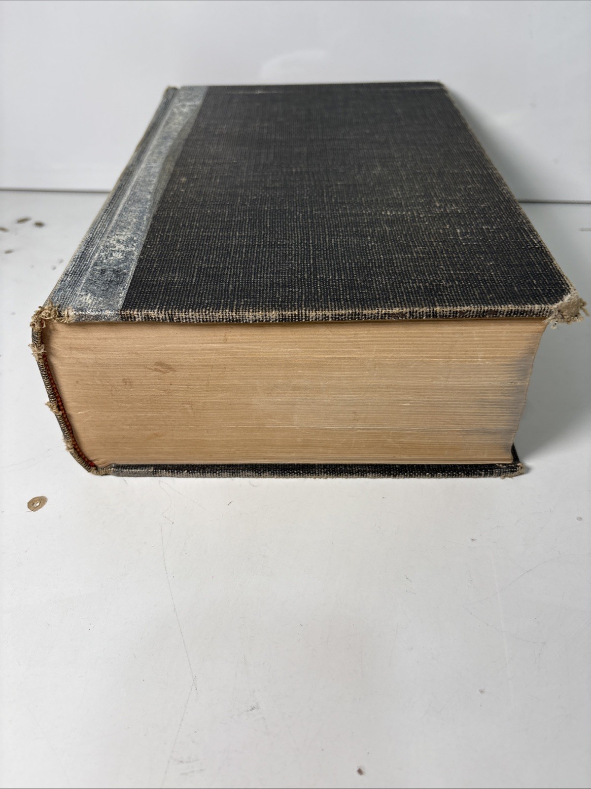THE NEWBERRY STUDY BIBLE by THOMAS NEWBERRY LARGE-TYPE REFERENCE EDITION 1960