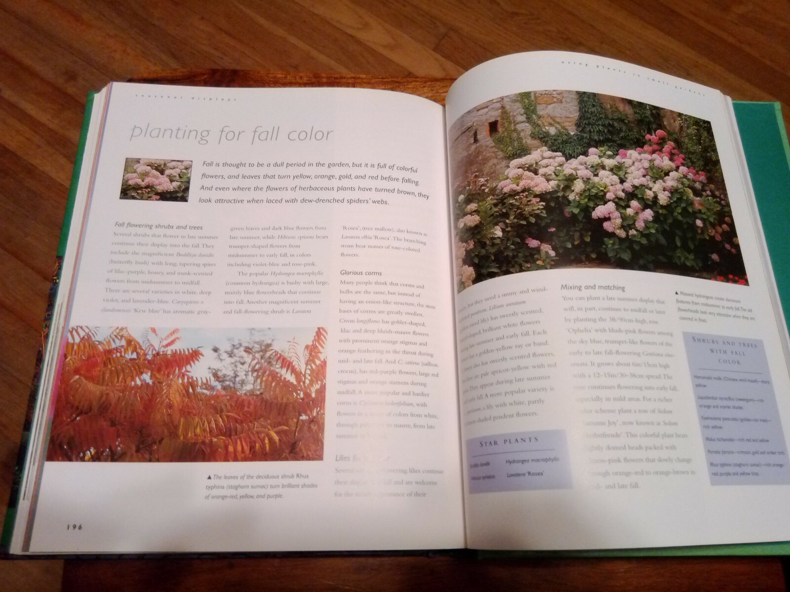 The Small Garden Making The Most Of A Small Garden David Squire