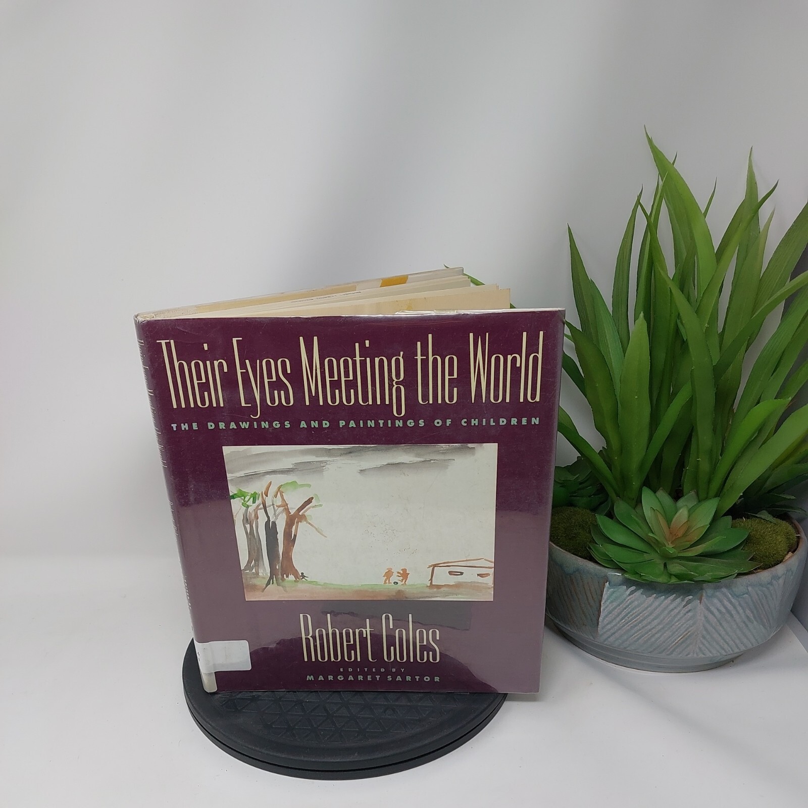 THEIR EYES MEETING THE WORLD – Hardcover By Coles, Robert – GOOD 1992