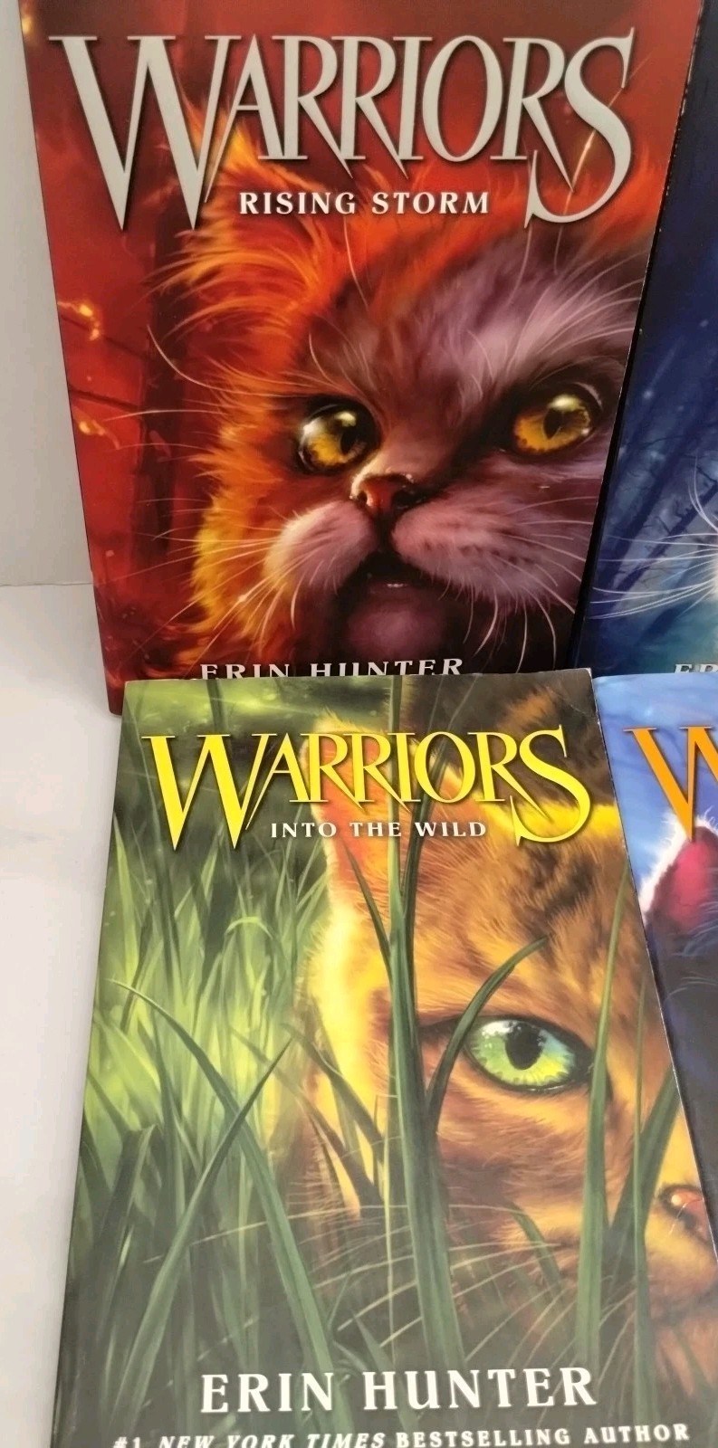 Warriors Set: Books 1 To 6 : The Complete First Series by Erin Hunter Paperback