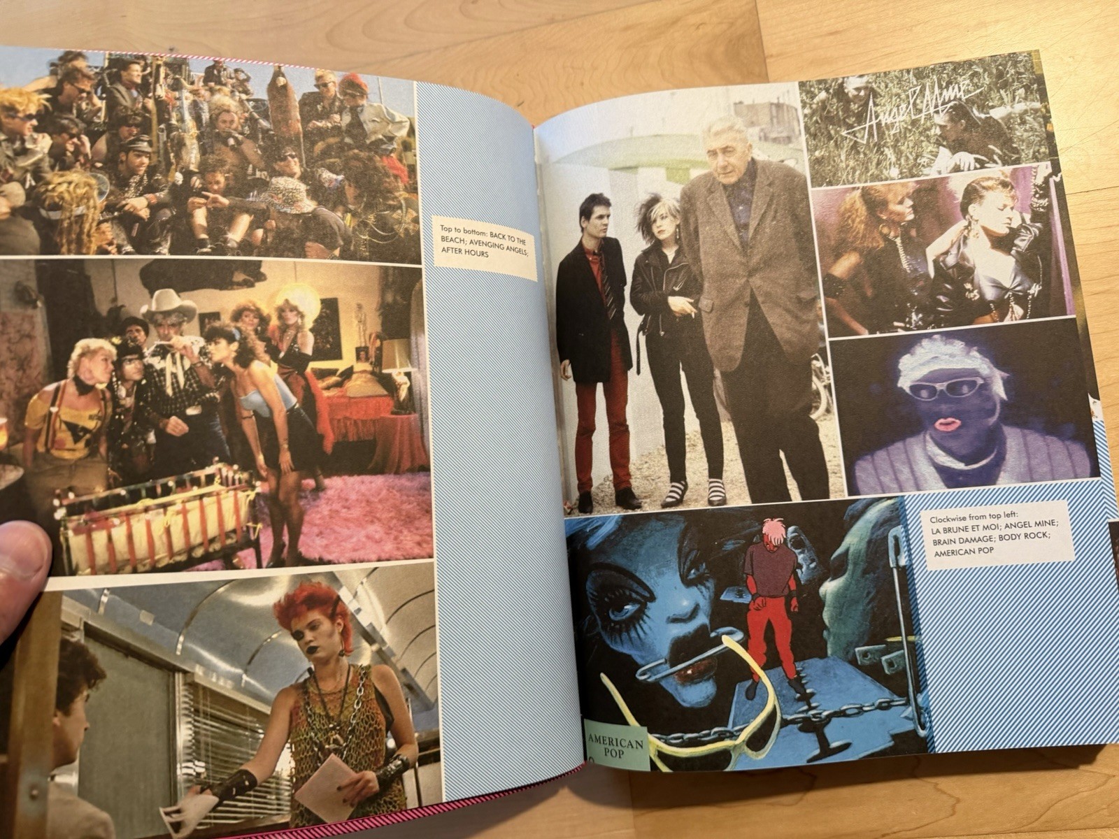 DESTROY ALL MOVIES!!! The Complete Guide To Punks On Film 2010 Fantagraphics TPB
