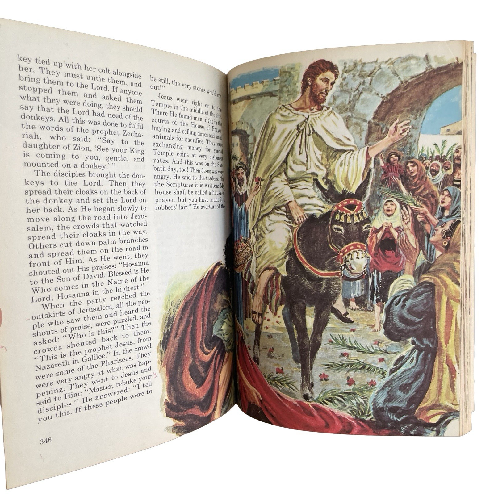 Nelson’s Picture Bible J. F. Allen 1973 Hardcover Children Religious Education