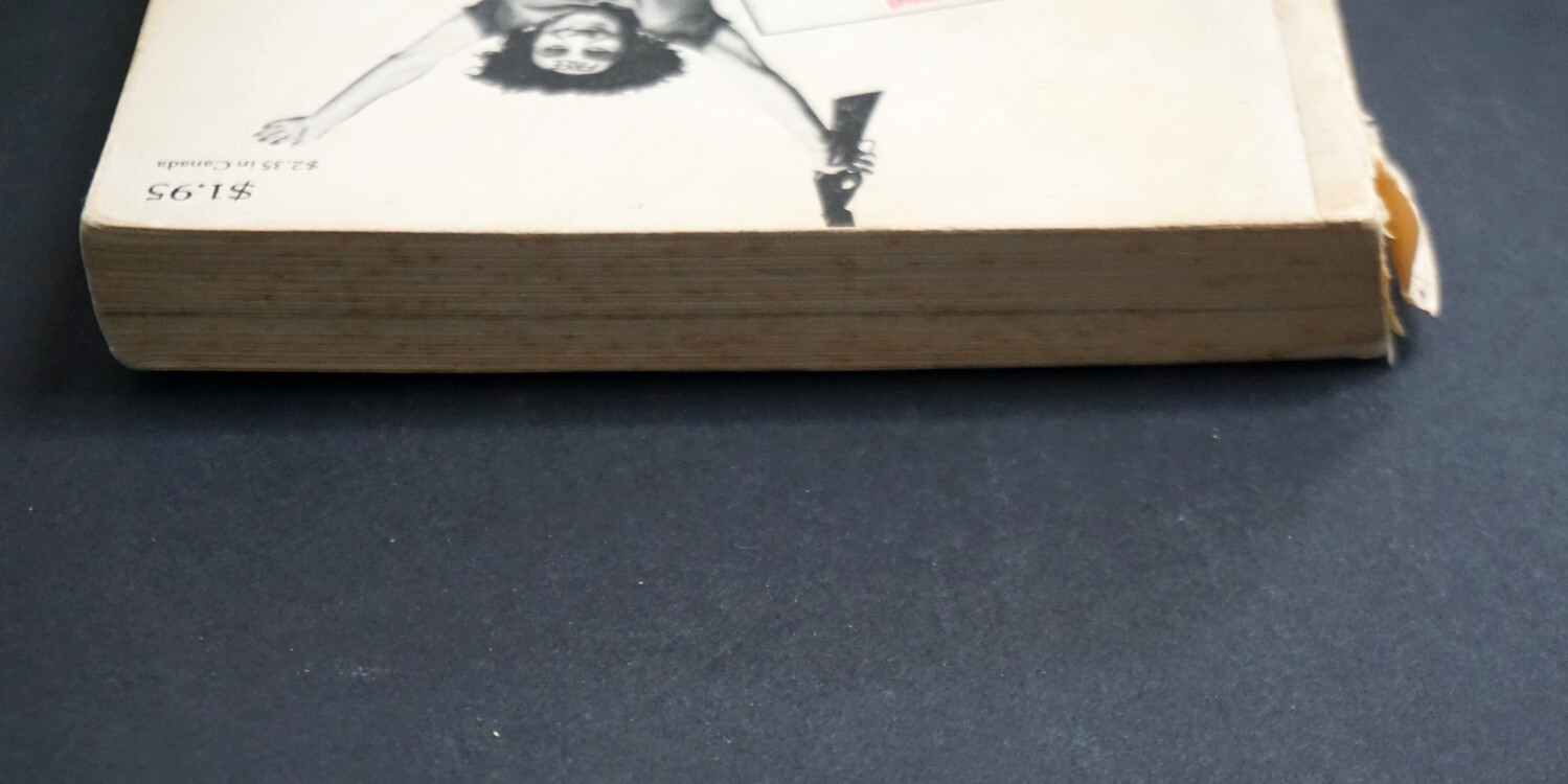 Revolution for the Hell of It (1970, Abbie Hoffman) *Paperback Book GUC