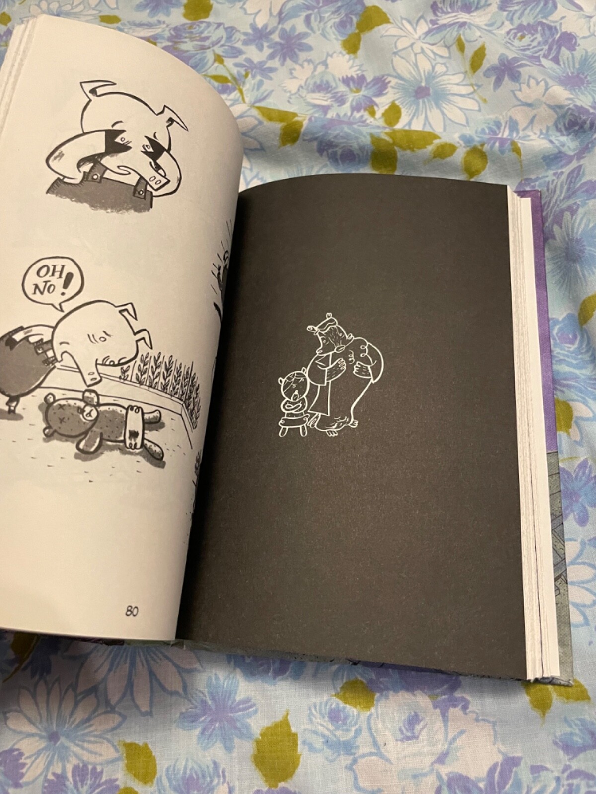 BOOK Friends is Friends Greg Cook First Edition 2016 Graphic Novel Roaring Brook