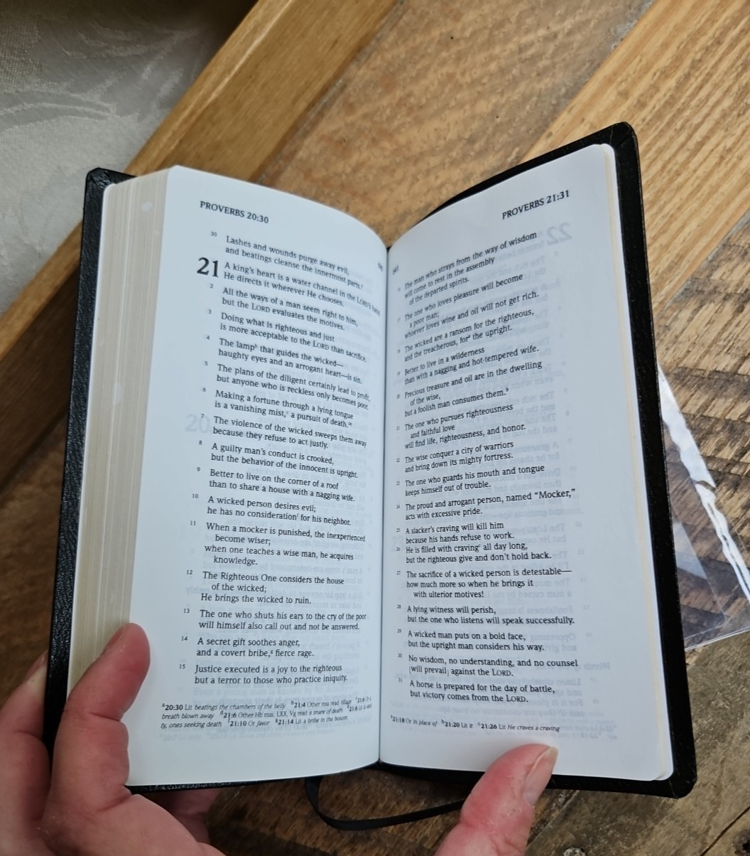 OOP HCSB UltraTrim New Testament w Psalms/Proverbs Checkbook size Bonded Leather