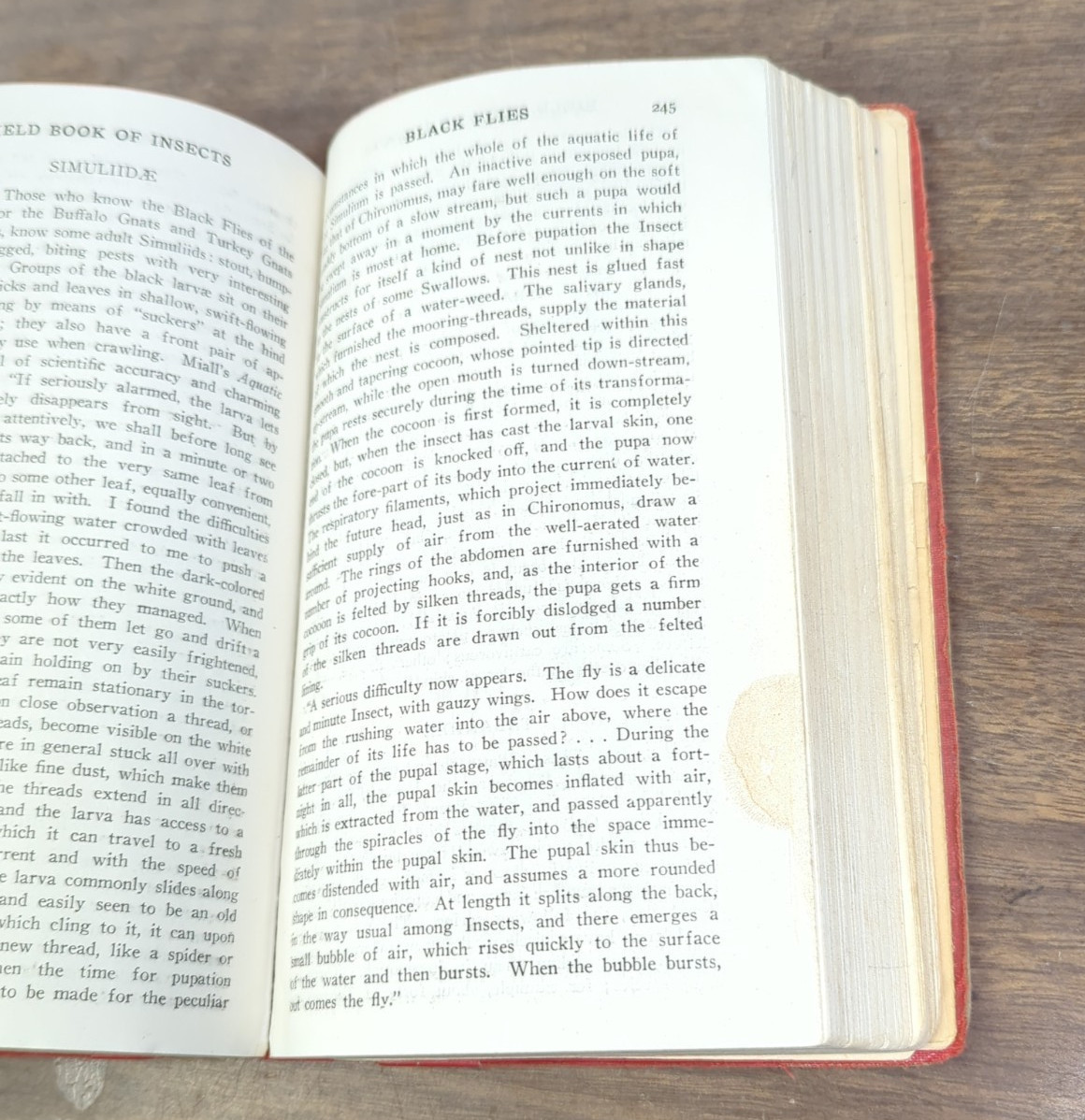 Field Book of INSECTS 1948 Revised Edition by Frank E.Lutz, – Ex Library