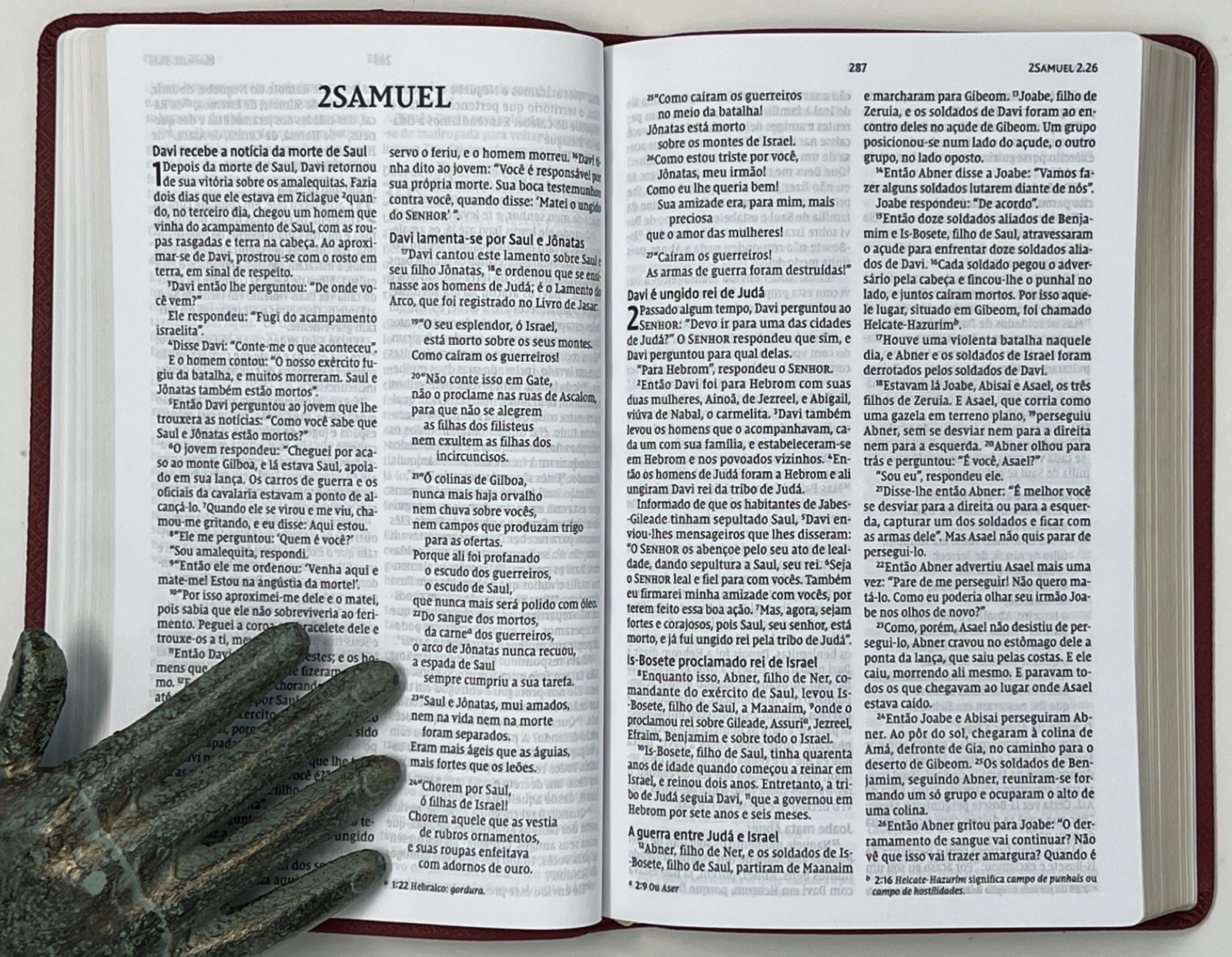 SPANISH BIBLE / RELIGION: Biblia Sagrada: NVI – 2011 SC Pub. by Thomas Nelson